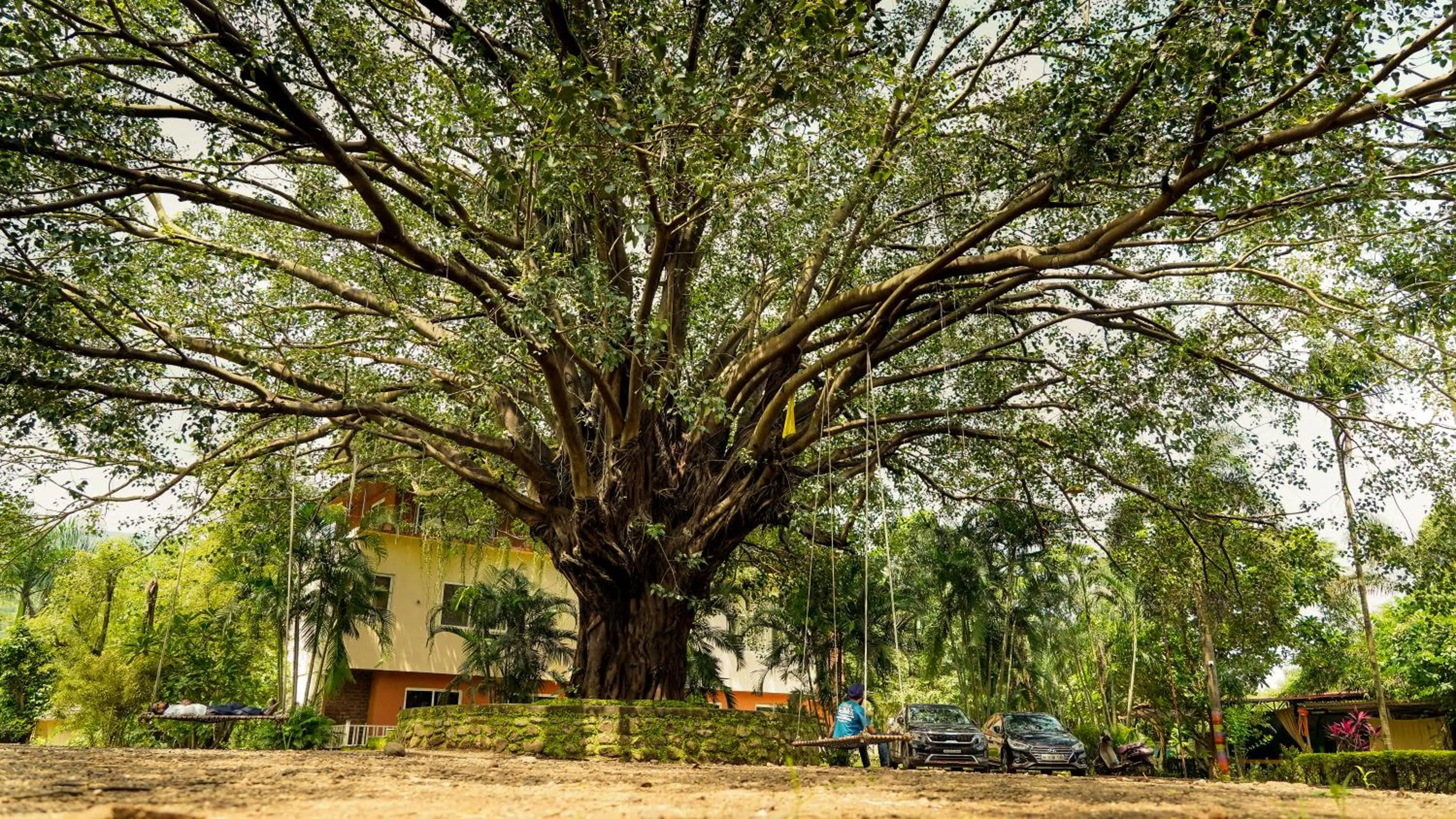 Garden in Whispering Peepul Resort