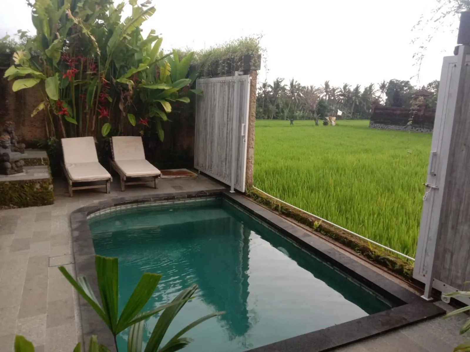 Natural landscape in Sujiwa Ubud Hotel & Villa