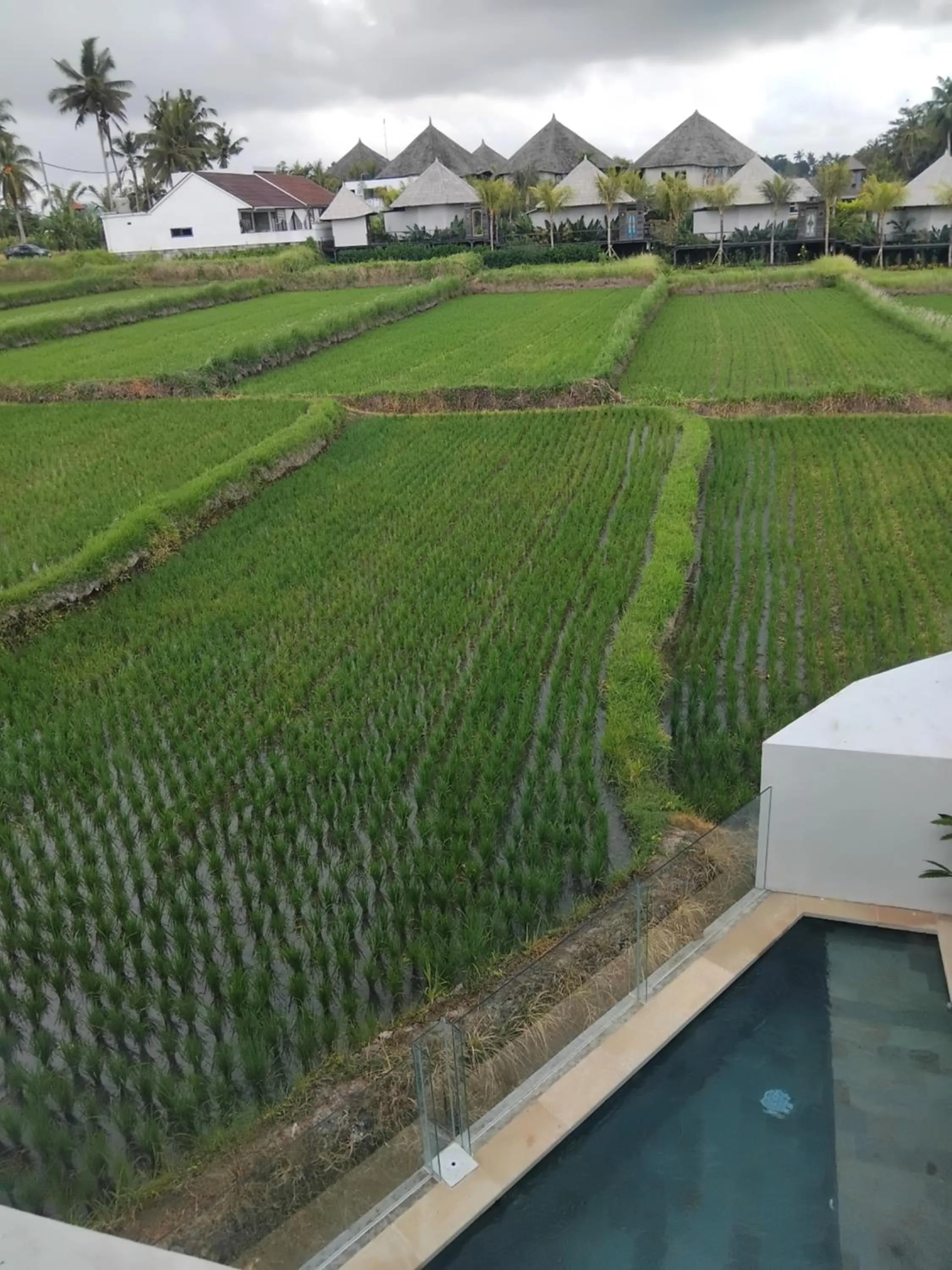 Day in Sujiwa Ubud Hotel & Villa