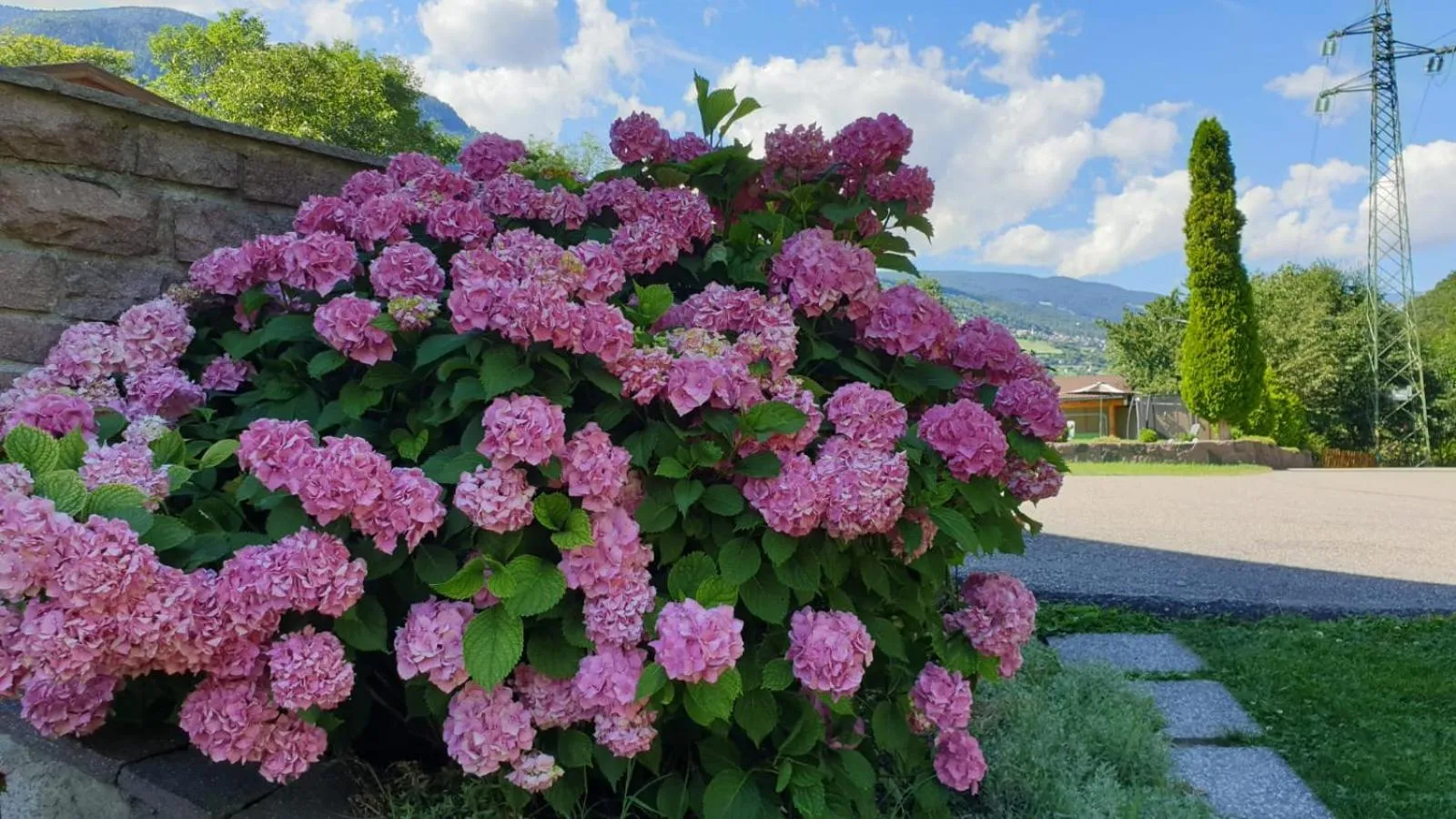 Garden in Ferienwohnungen Koflerhof