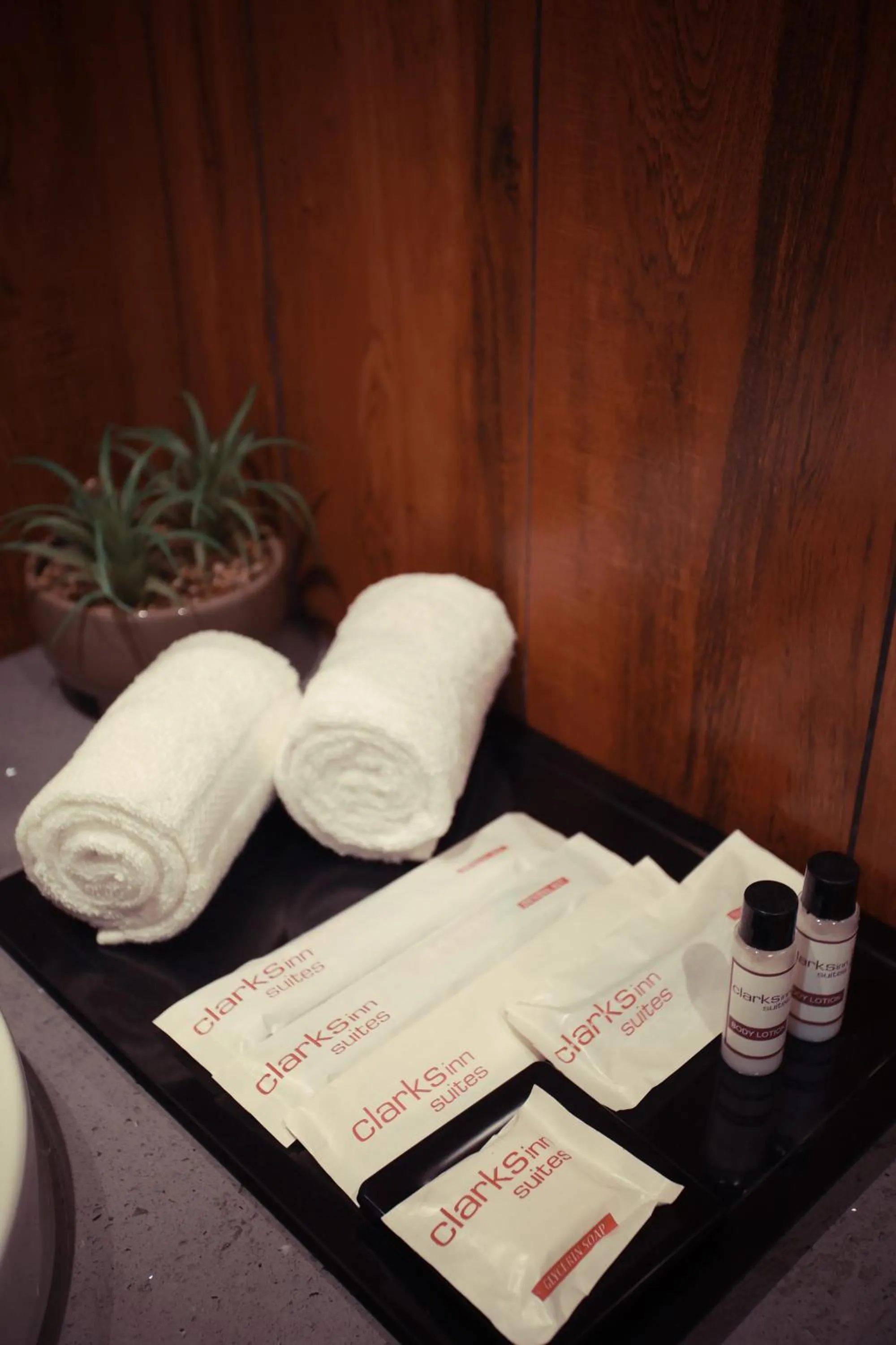 Bathroom in Clarks Inn Suites Jaipur