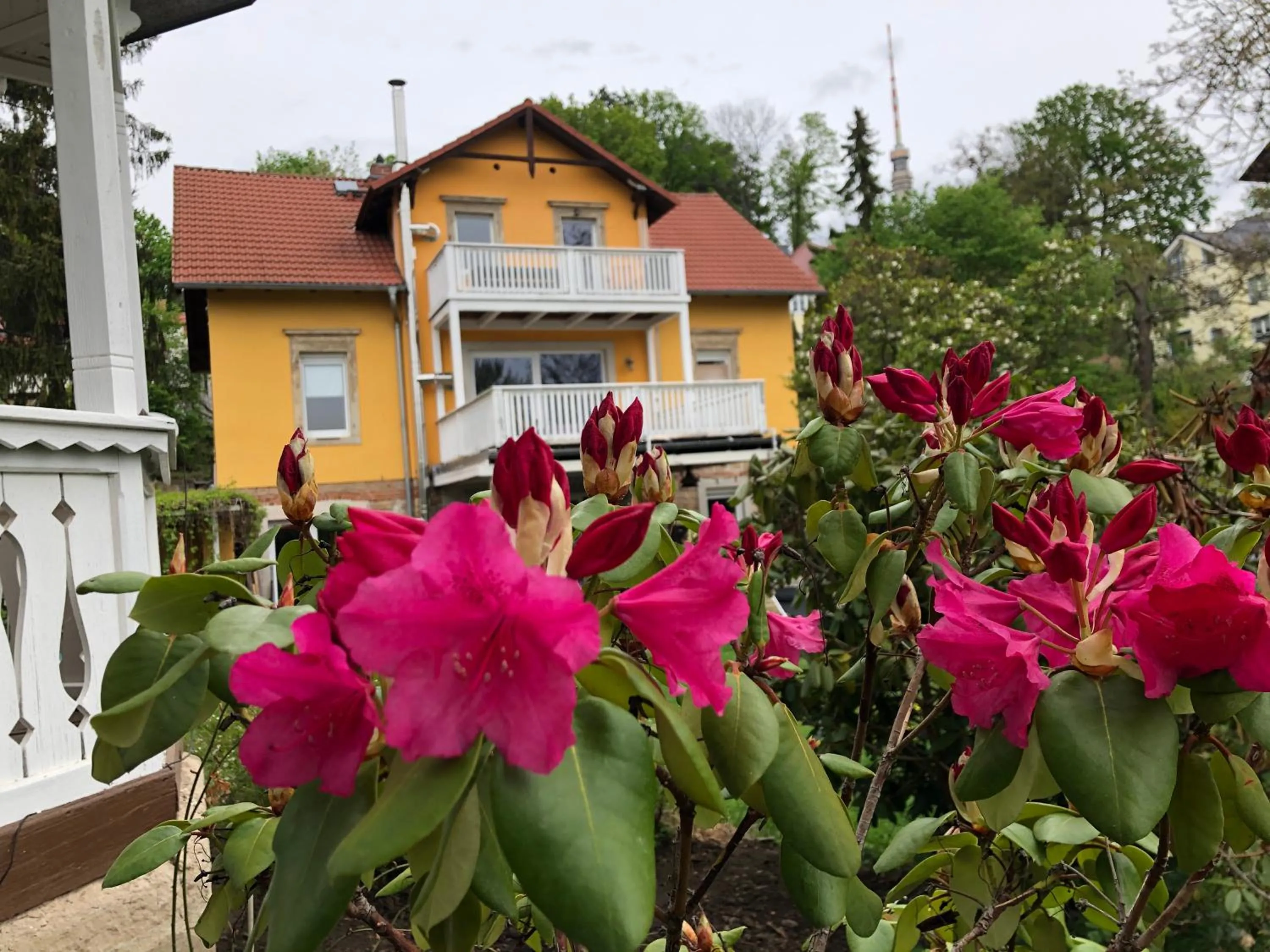 Ferienwohnung Casa Casimir mit Elbblick, Balkon und großen Garten