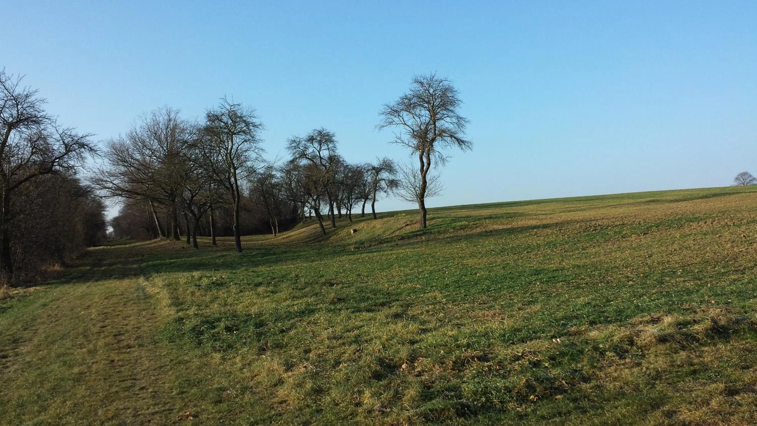 Area and facilities in Hotel Bad Langensalza Eichenhof