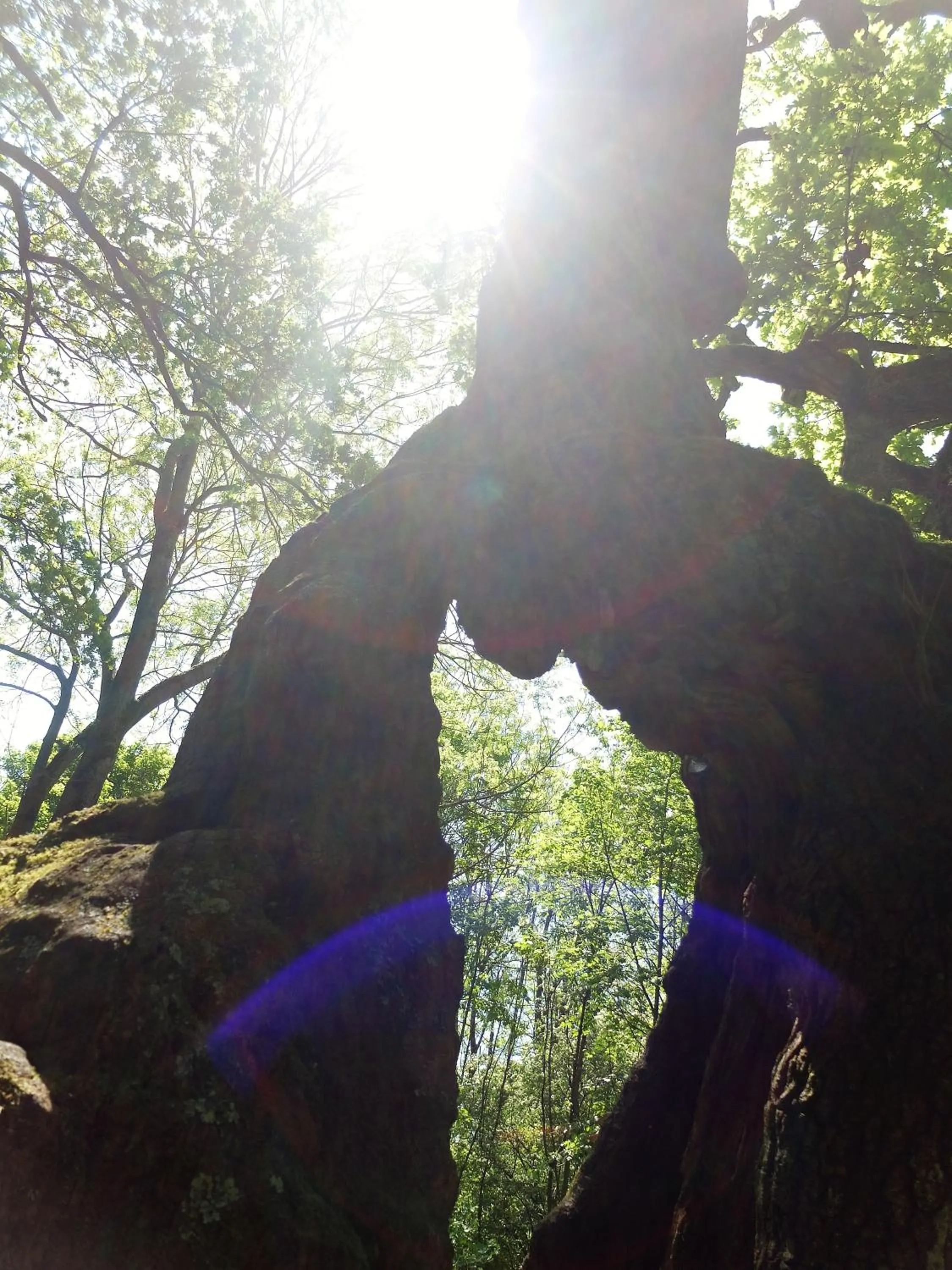 Nearby landmark in Hotel Bad Langensalza Eichenhof