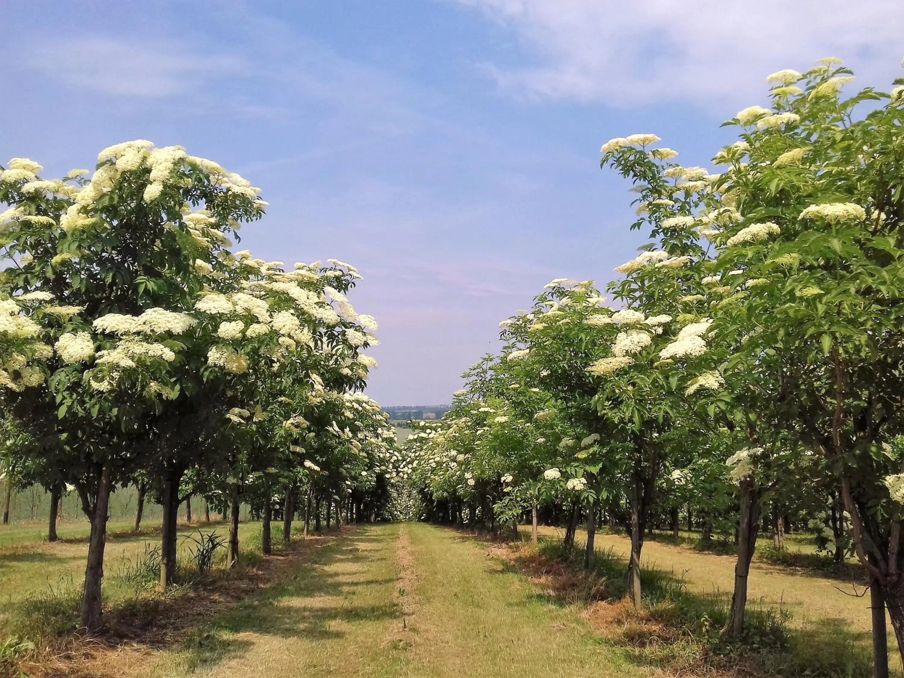Off site in Hotel Bad Langensalza Eichenhof