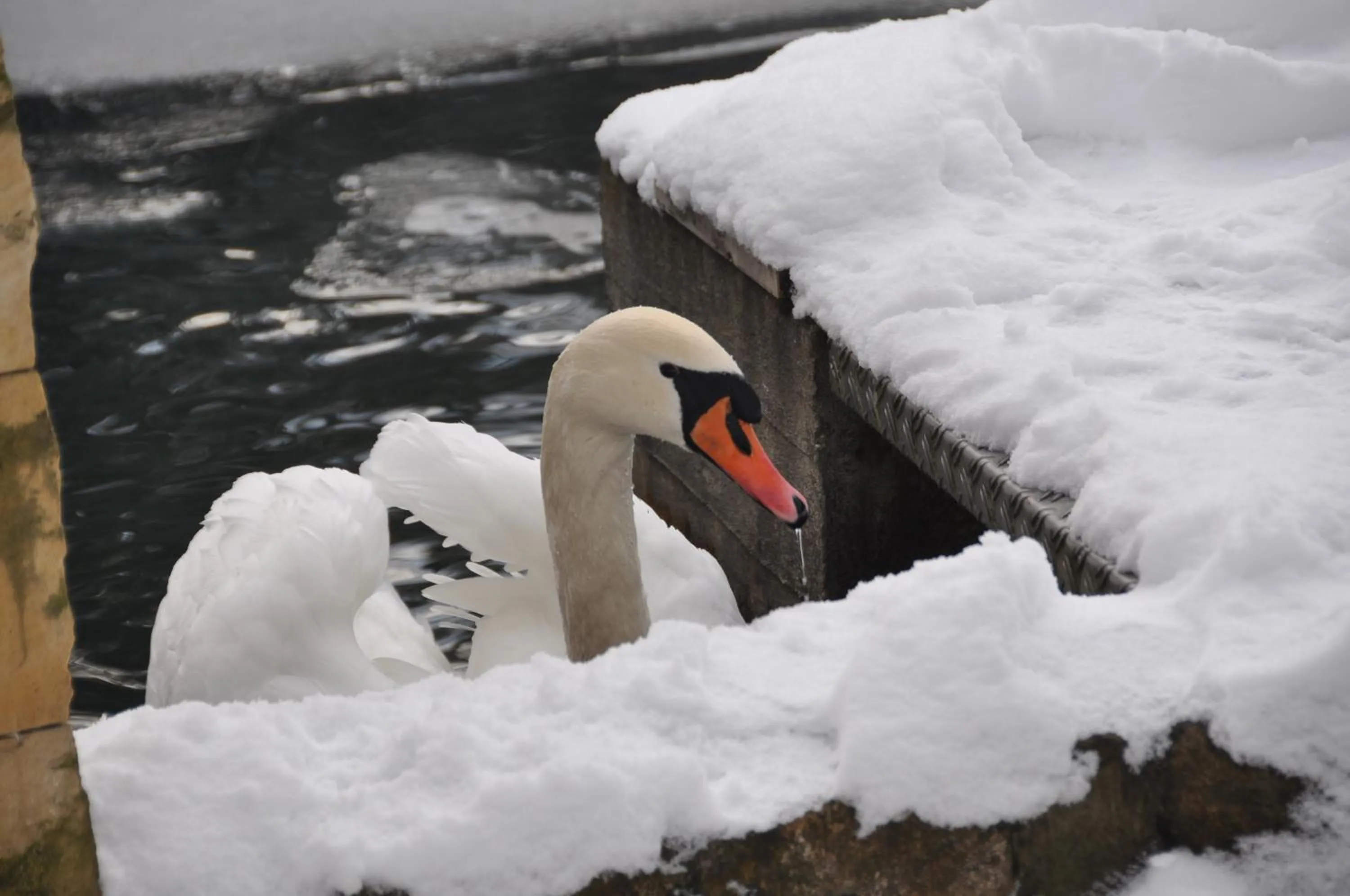 View (from property/room) in Hotel Gondelfahrt