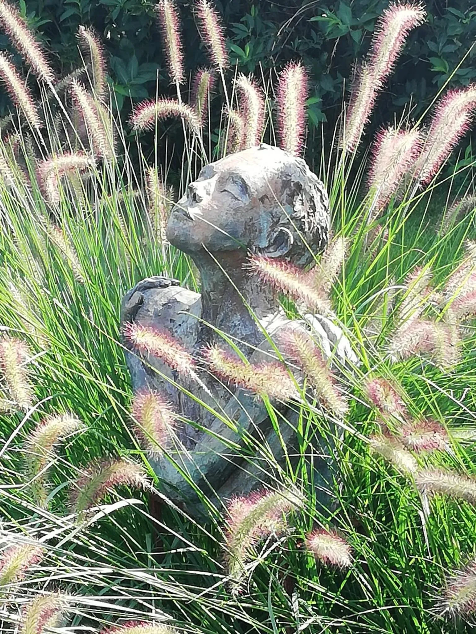 Garden view in B&B 7T