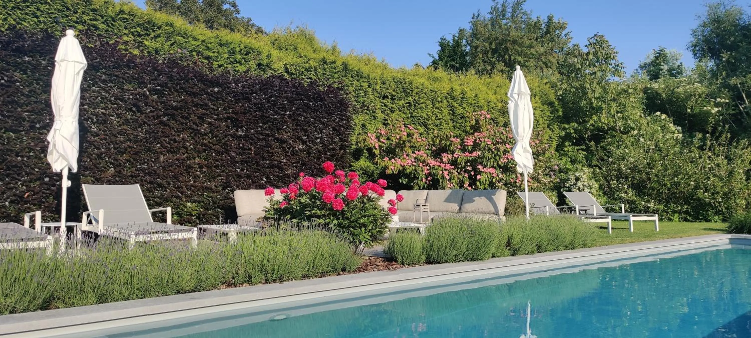 Swimming pool in B&B 7T