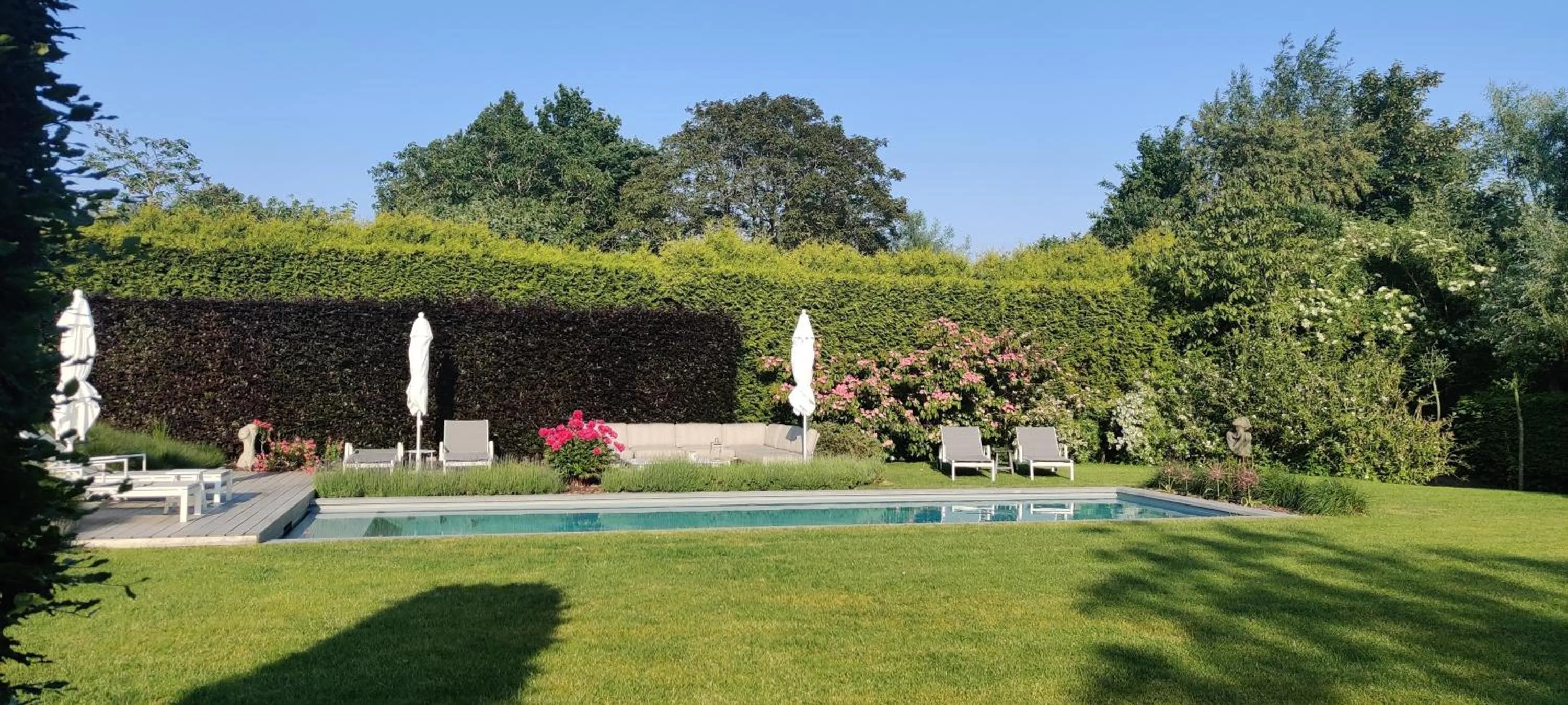 Swimming pool in B&B 7T