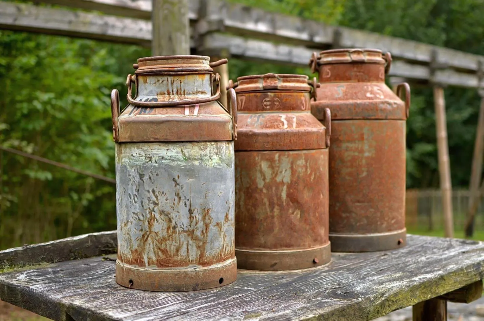 Food and drinks in LiebesNesterl Bergwirt - Boutique Hotel