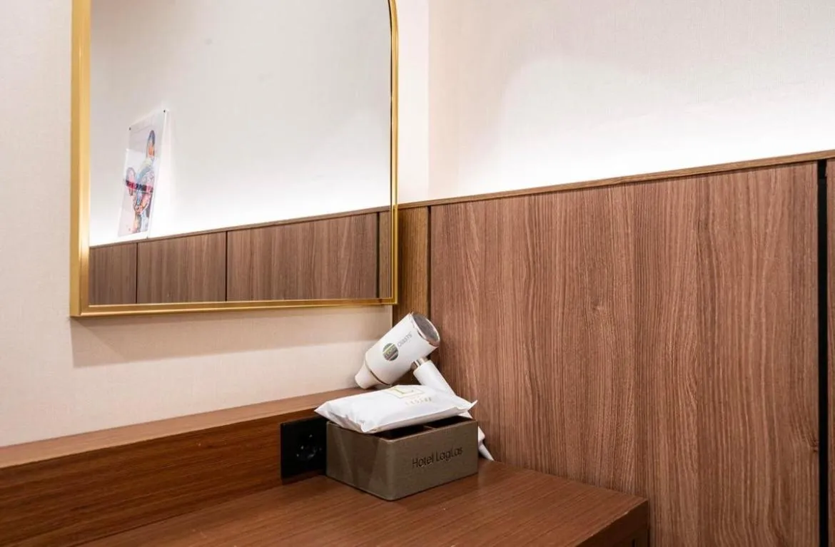 hair dryier in Hotel Laglas Asan
