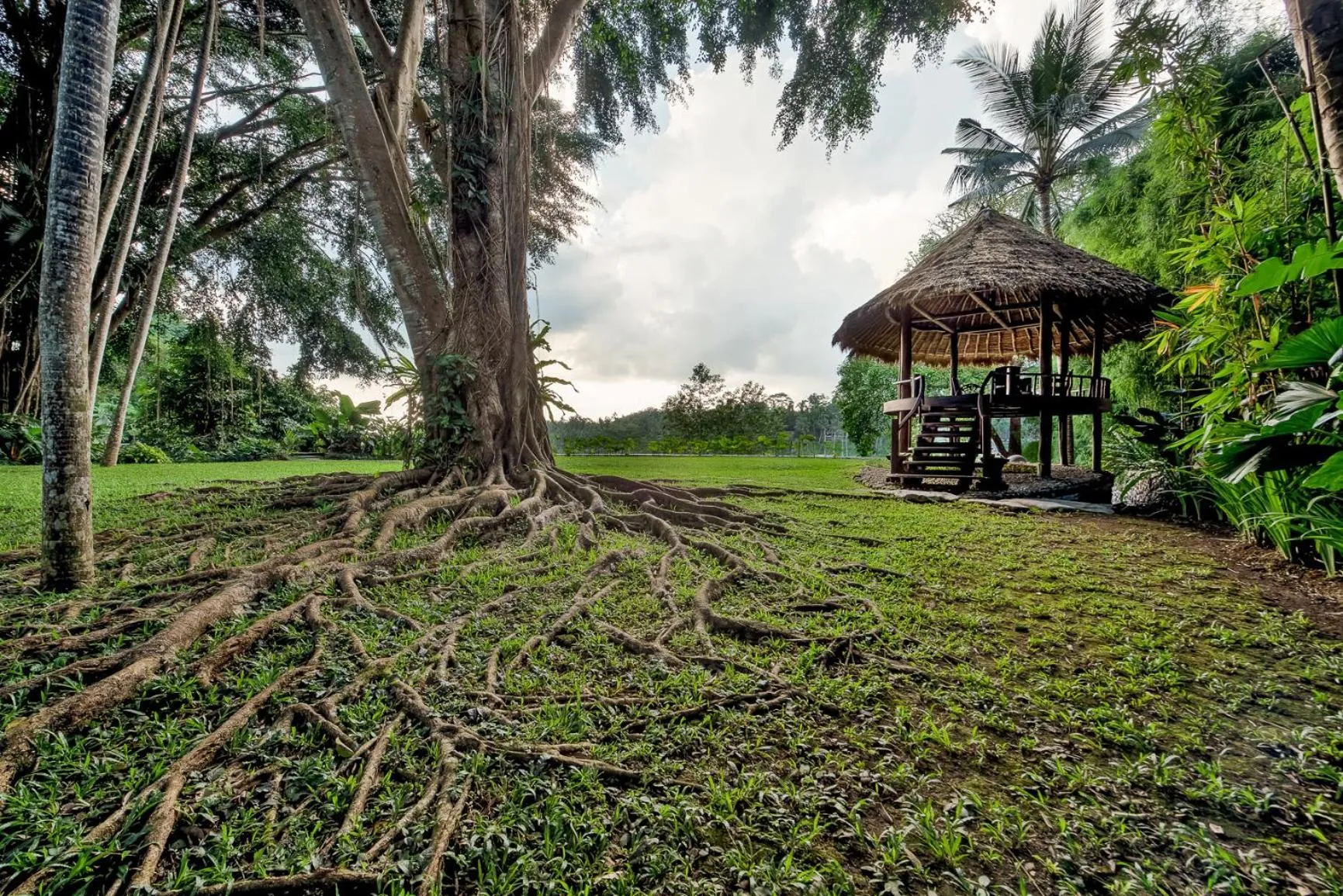Garden in Kamaniiya River Villa Sayan - Ubud