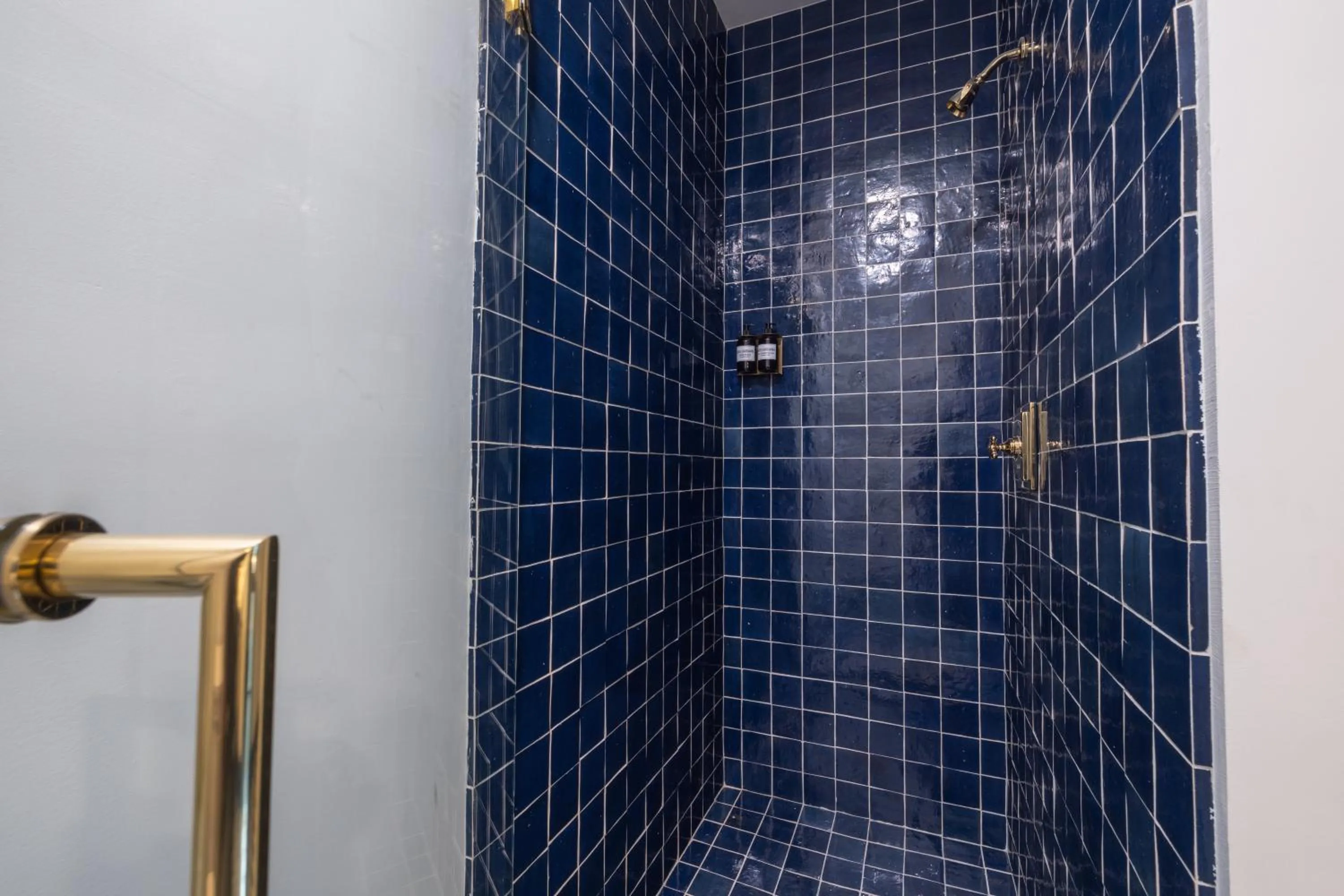 Shower in Hotel Hardware