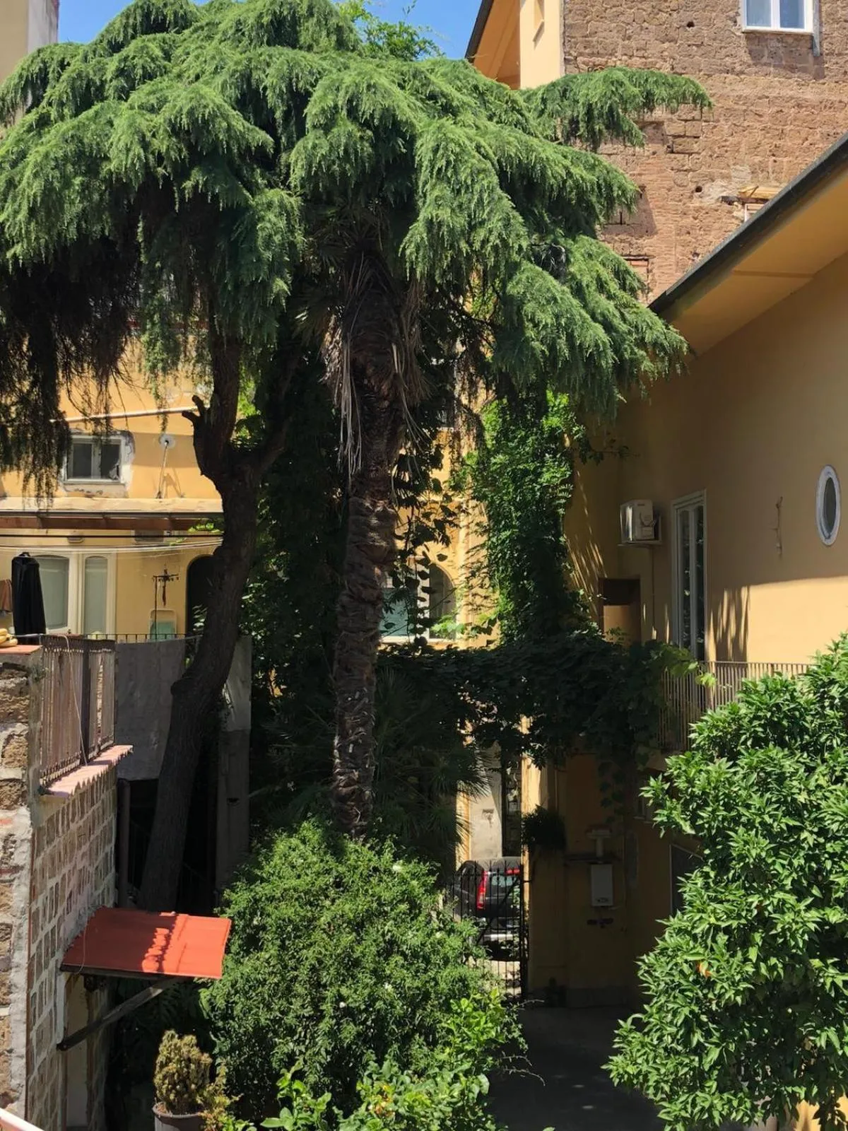 Summer in B&B Galileo Galilei
