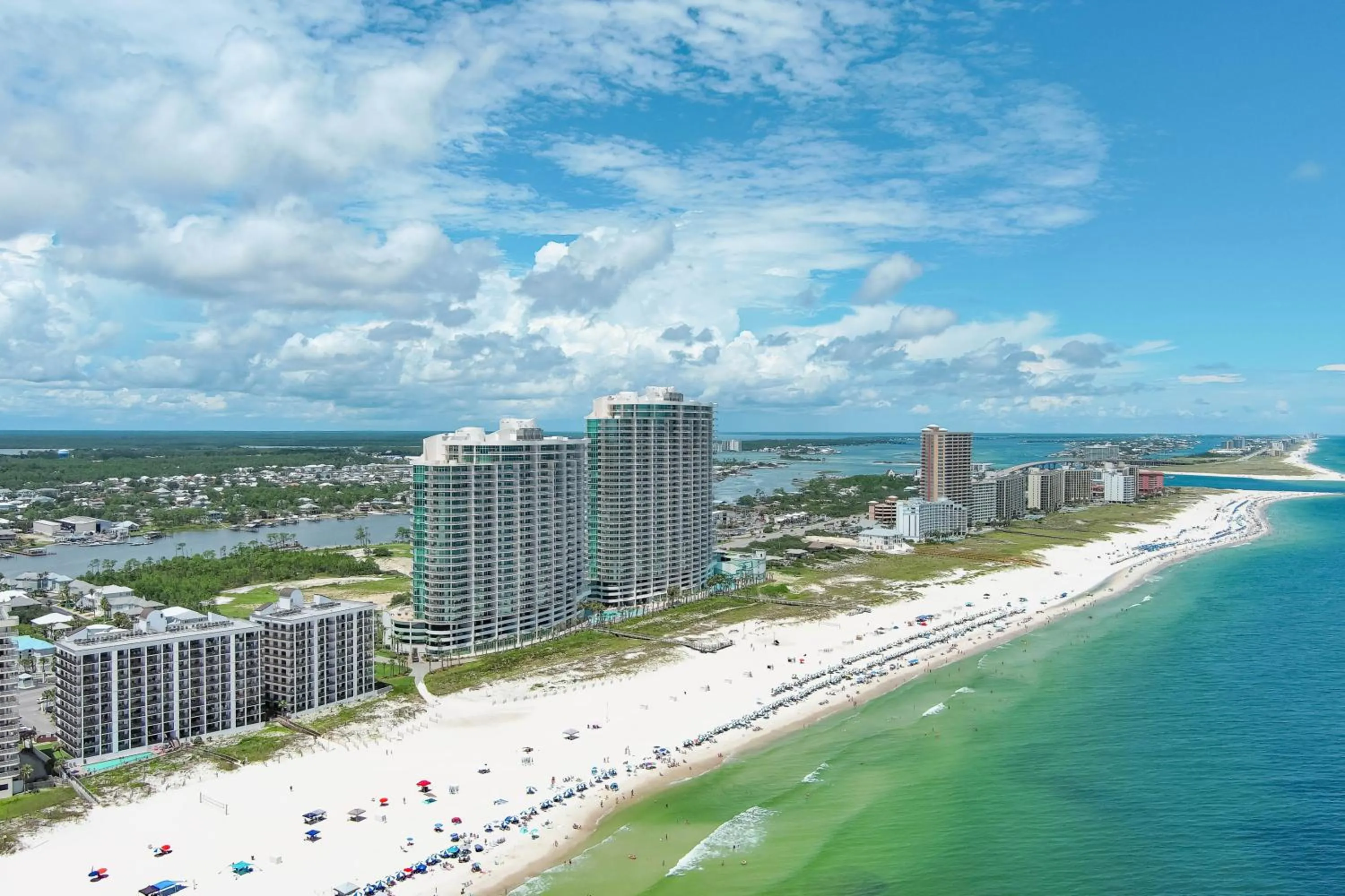 The Palms 202