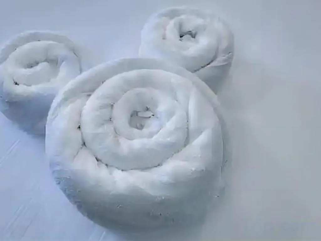 Disney's Beach Club Resort