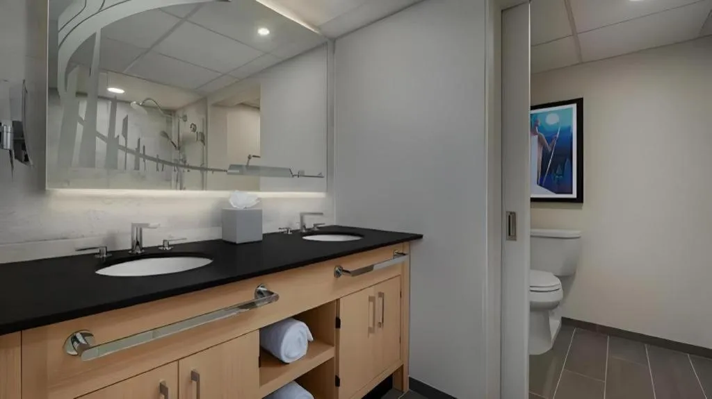 Disney's Contemporary Resort