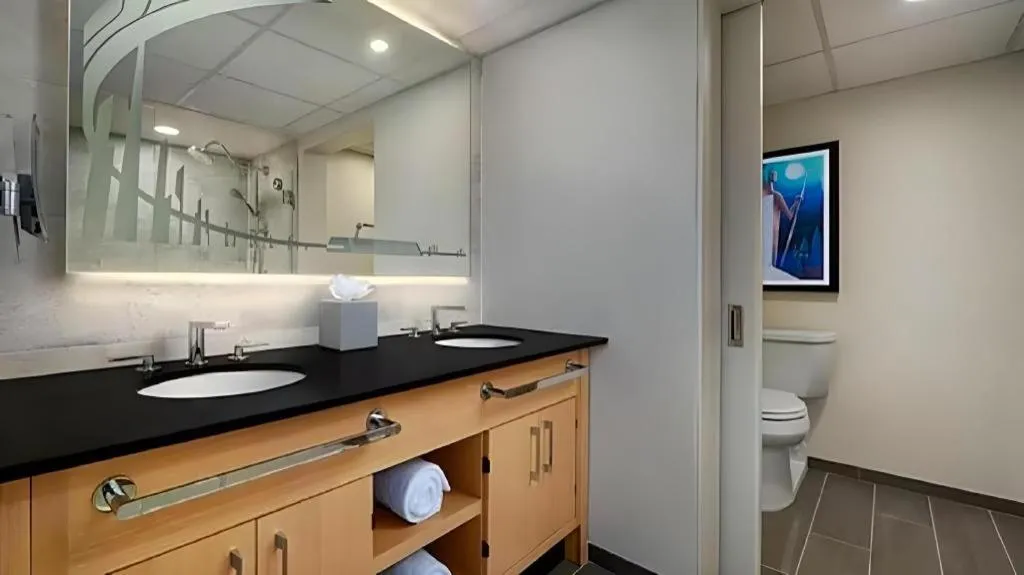 Disney's Contemporary Resort