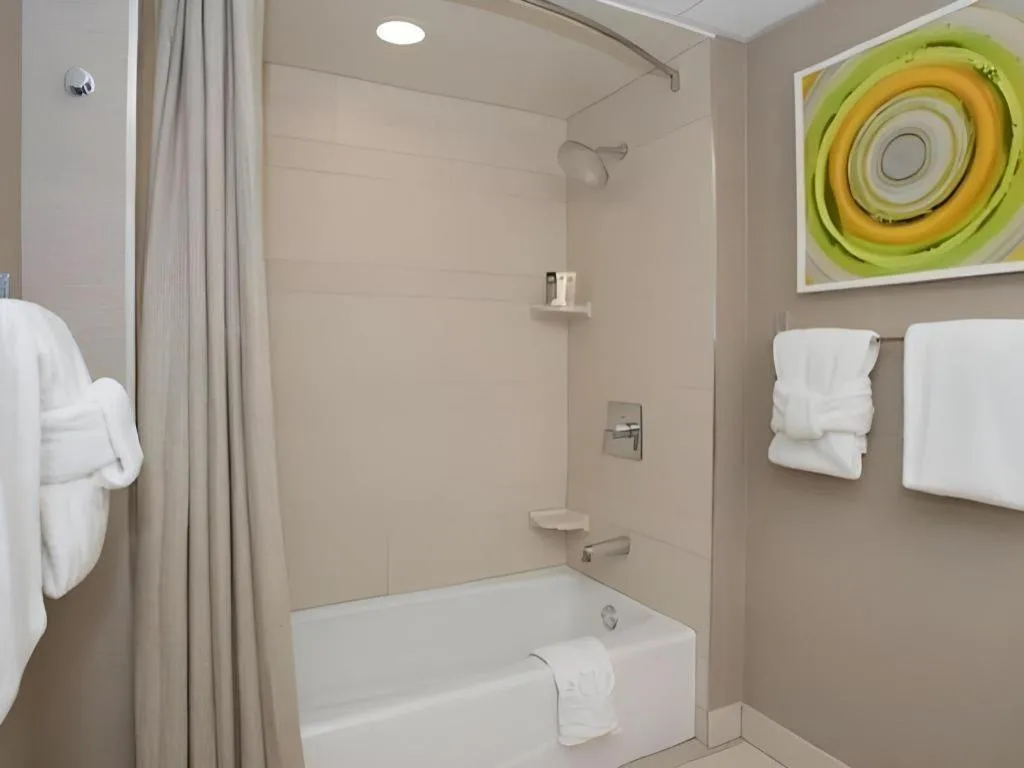 Disney's Contemporary Resort