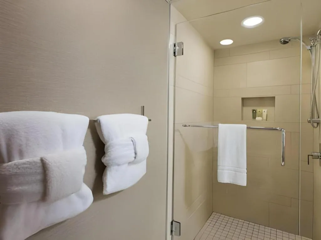 Disney's Contemporary Resort