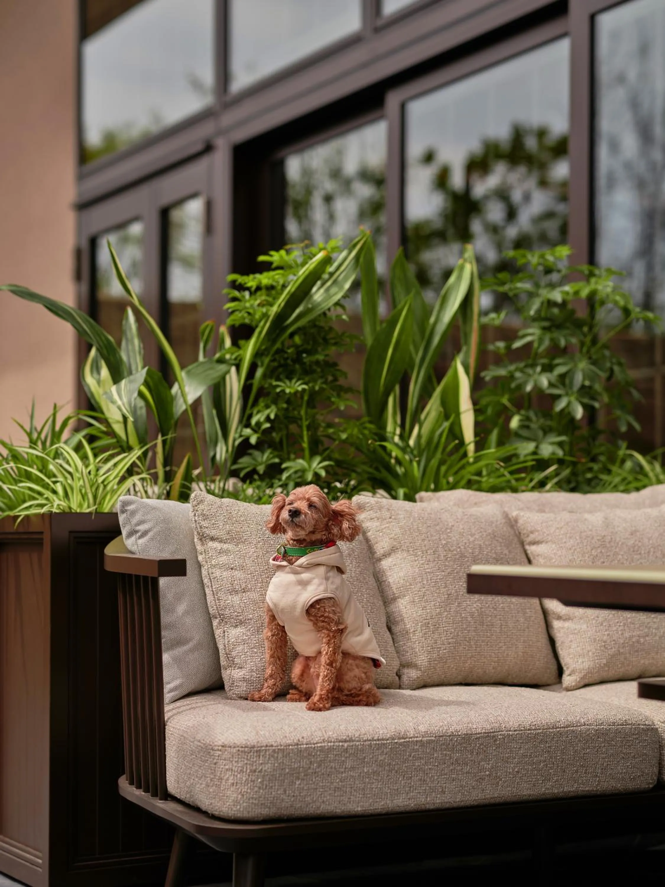 Restaurant/places to eat in Patina Osaka