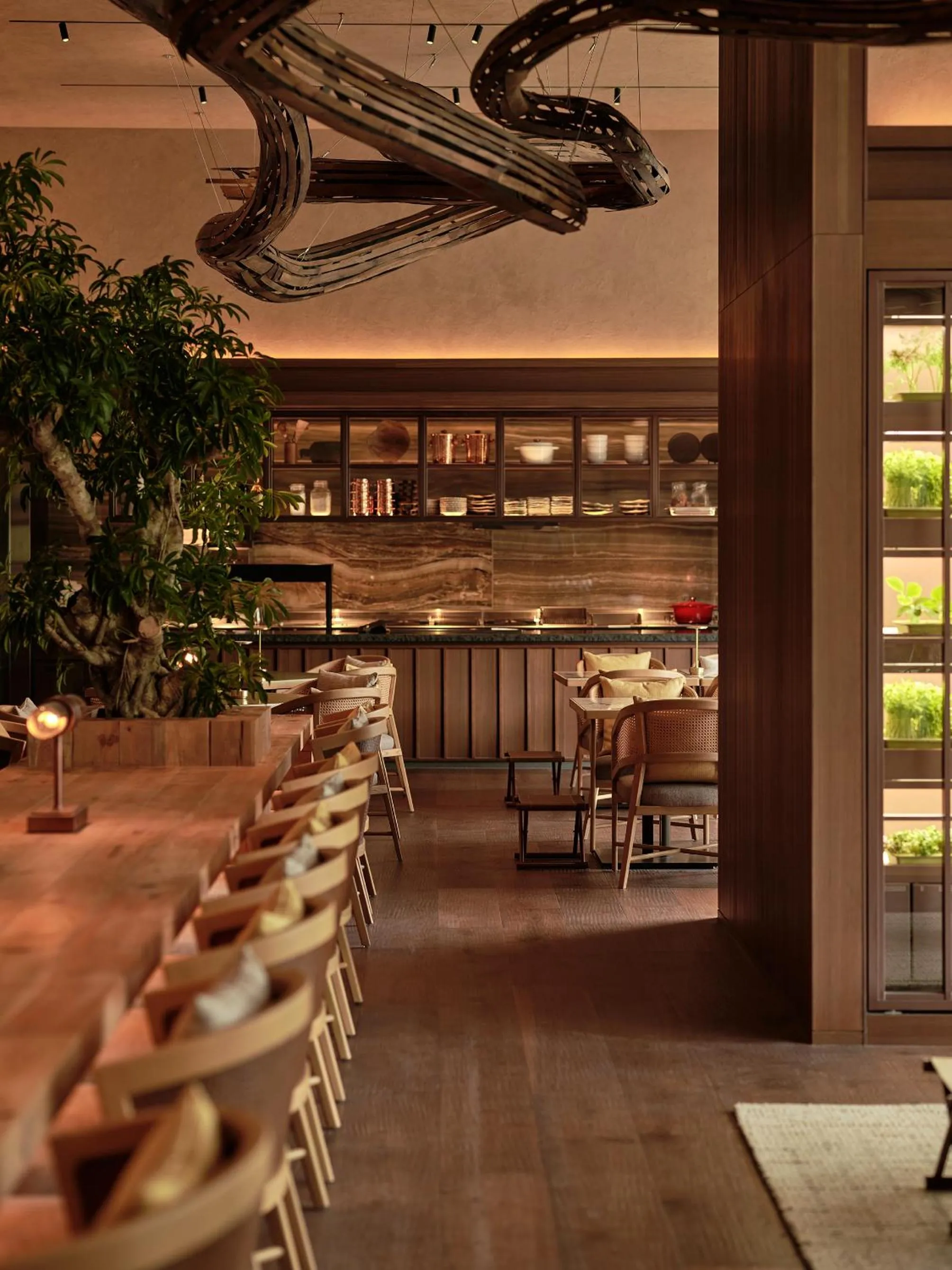 Restaurant/places to eat in Patina Osaka