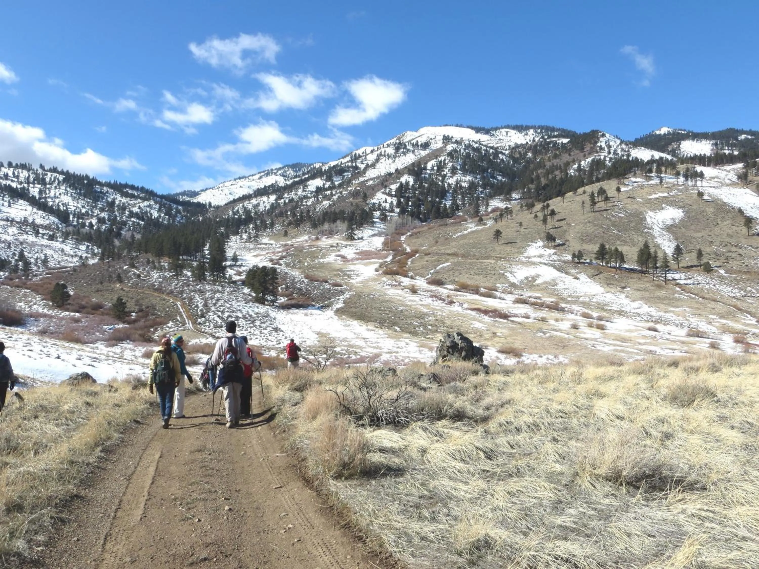 Area and facilities in Gold Dust West