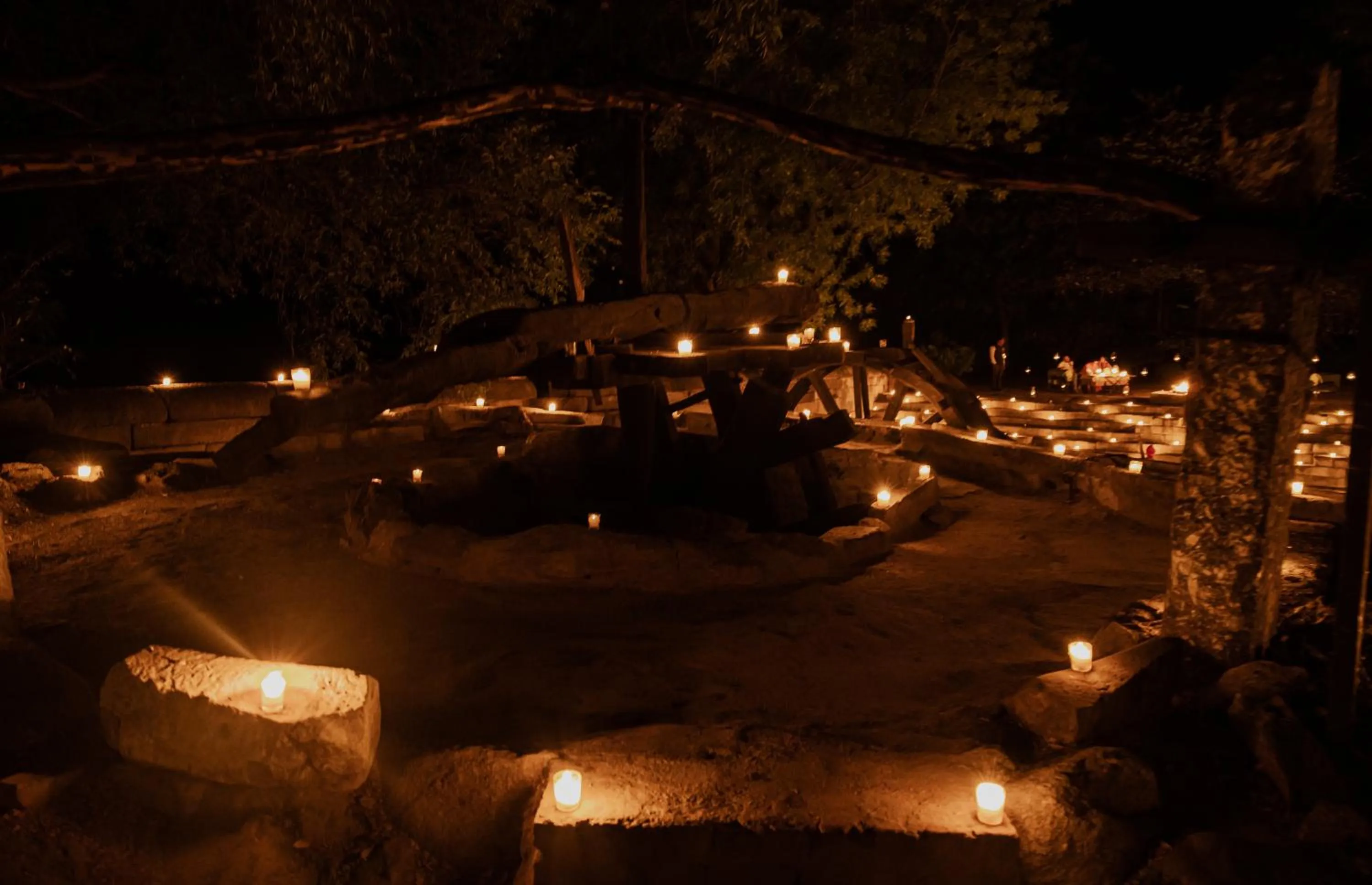 Night in The Rawla Narlai - A Luxury Heritage Stay in Leopard Country