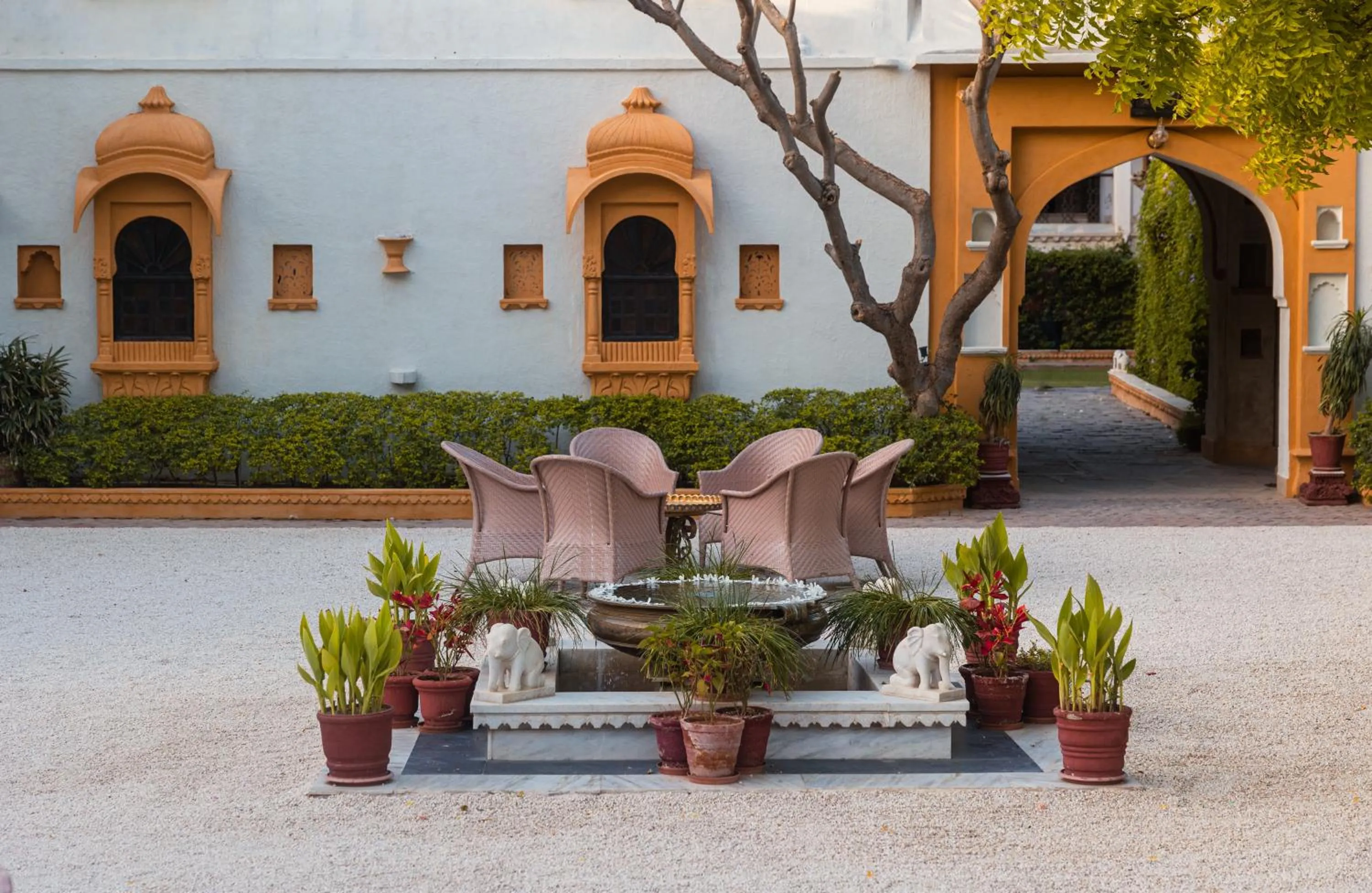 Garden view in The Rawla Narlai - A Luxury Heritage Stay in Leopard Country