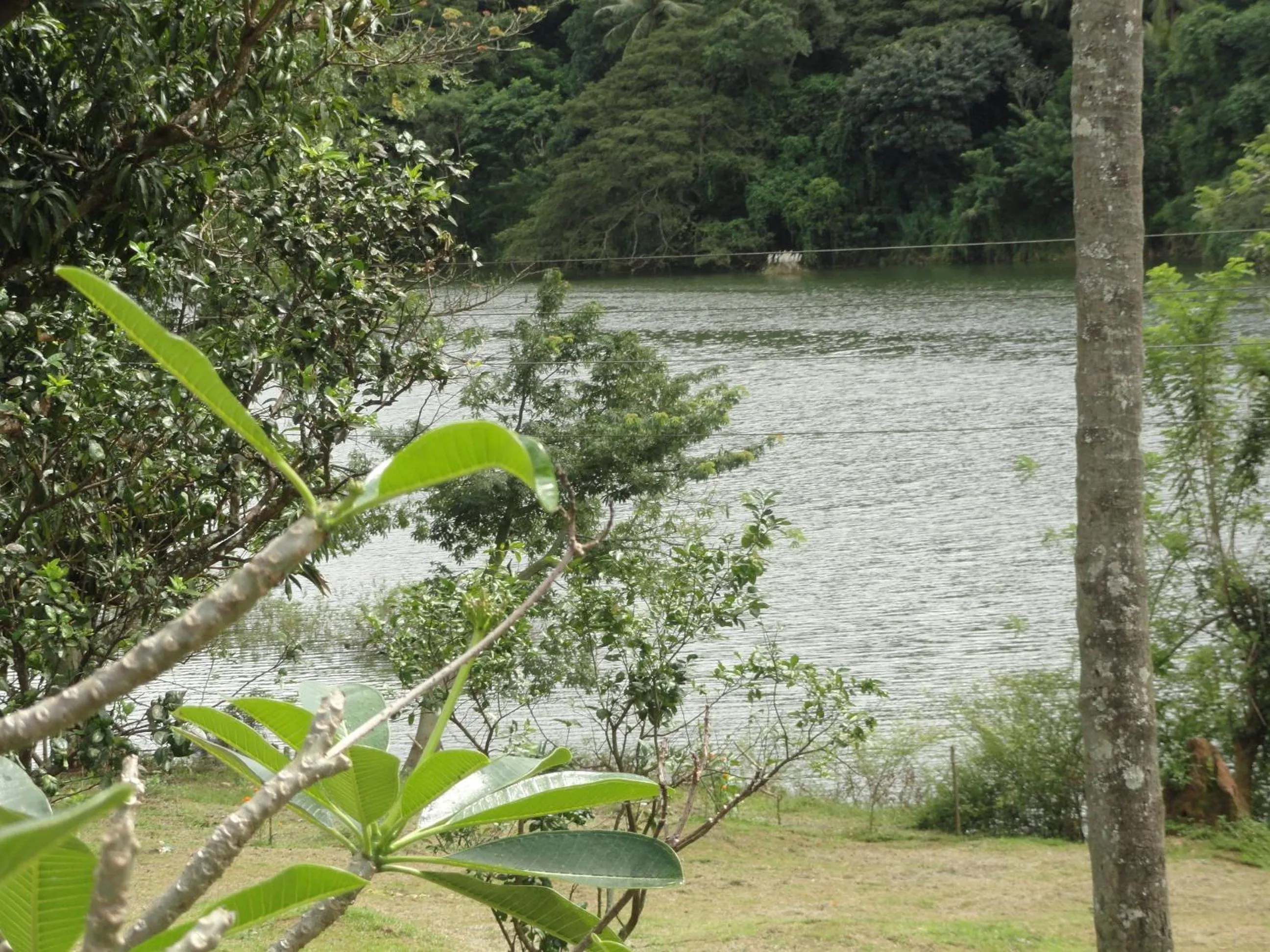 River view in Serendip Stone Hotel and Bungalow