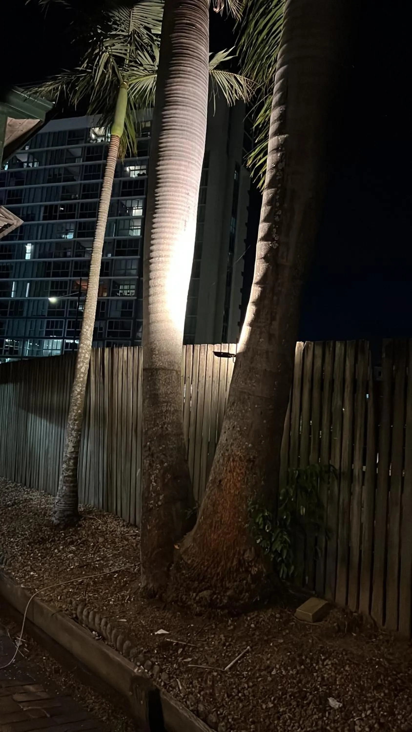 Palm Hamilton Backpacker