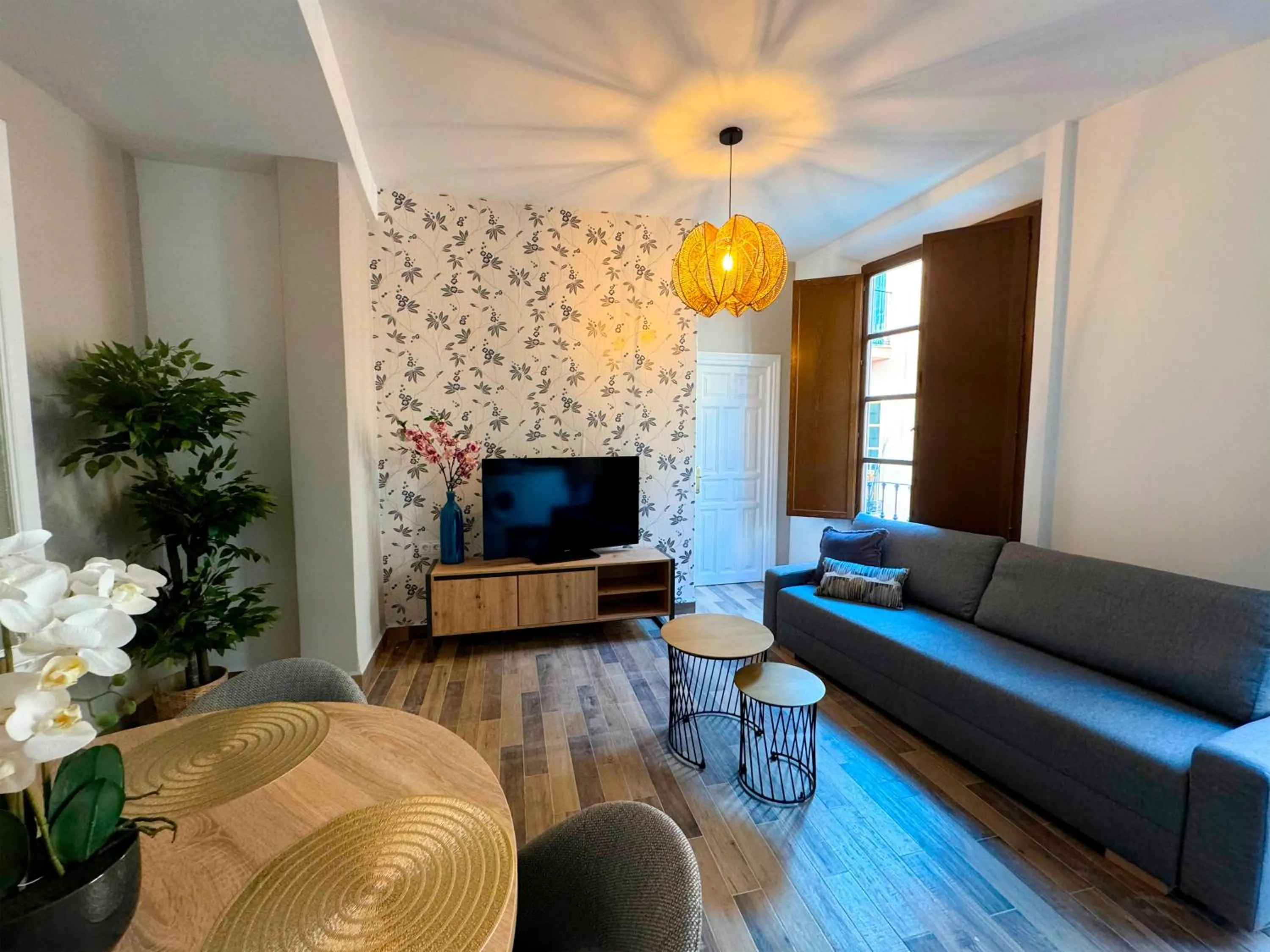 TV and multimedia in Apartamentos Plaza San Agustín 3000