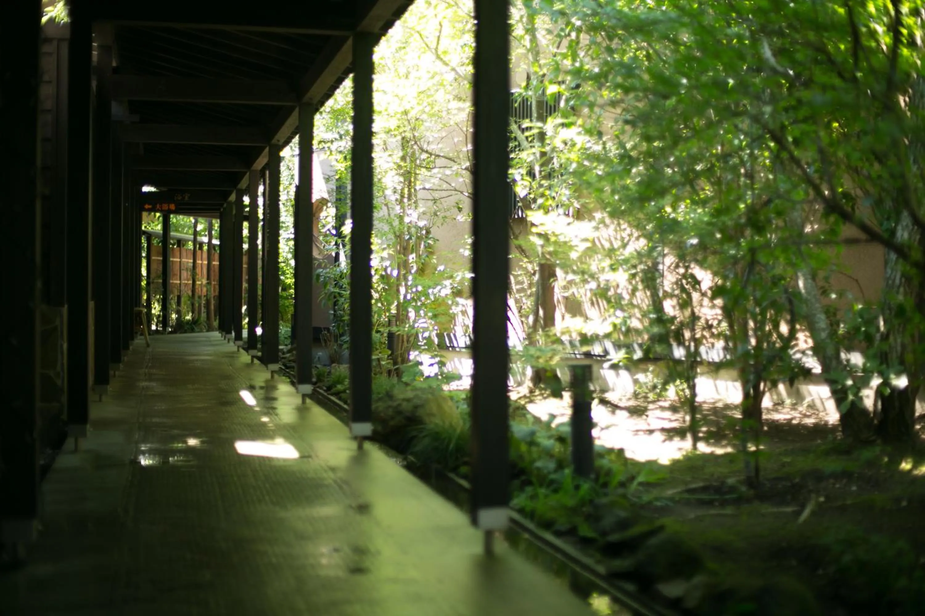 Garden in Yufuin Kaze no Mori