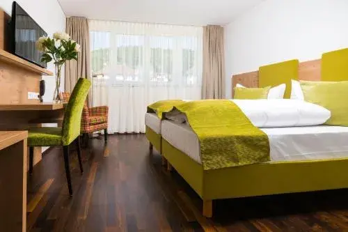 Double Room - single occupancy in Hotel Rheingold Double Room - single occupancy in Hotel Rheingold