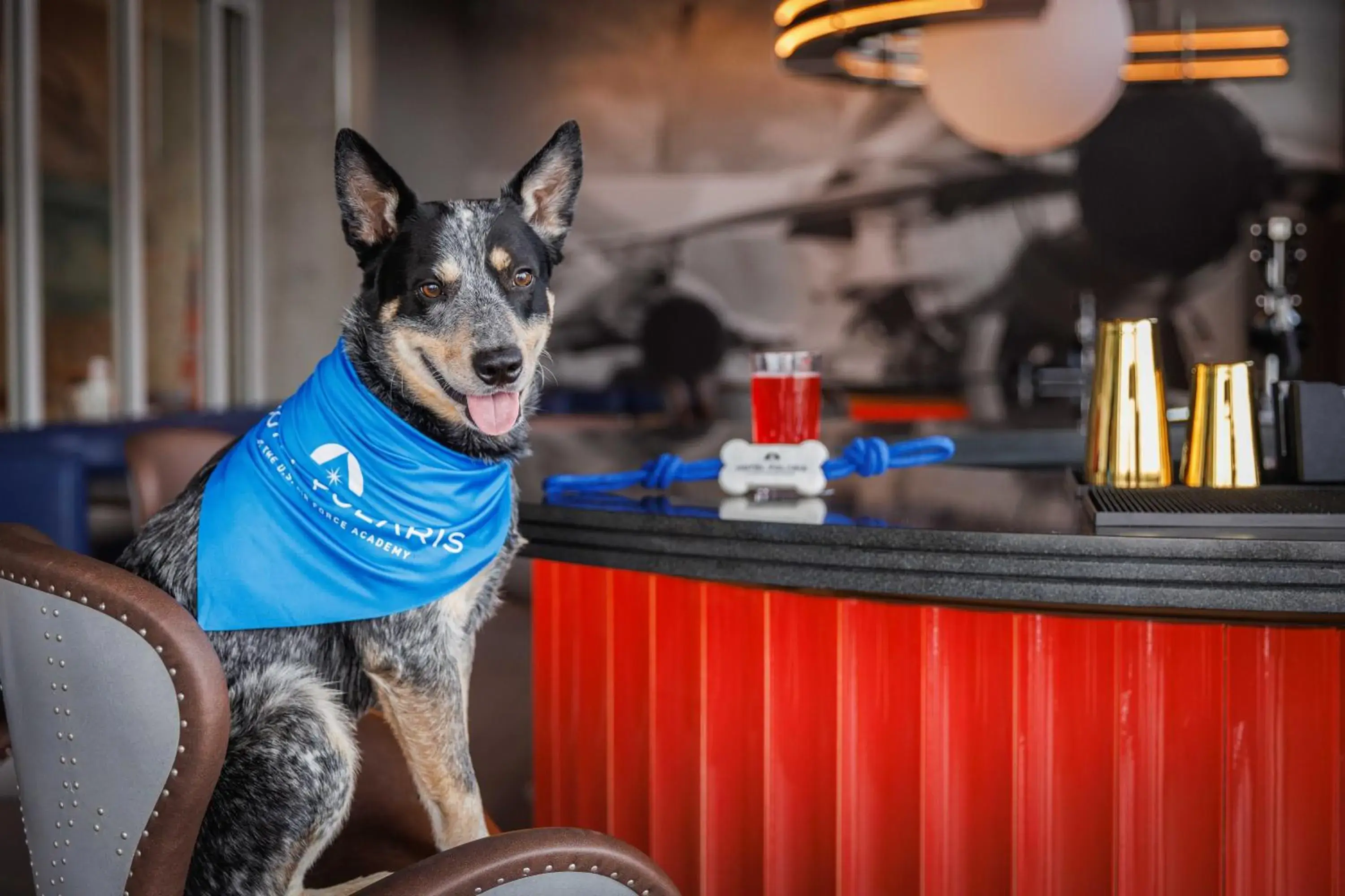 Restaurant/places to eat in Hotel Polaris Restaurant/places to eat in Hotel Polaris