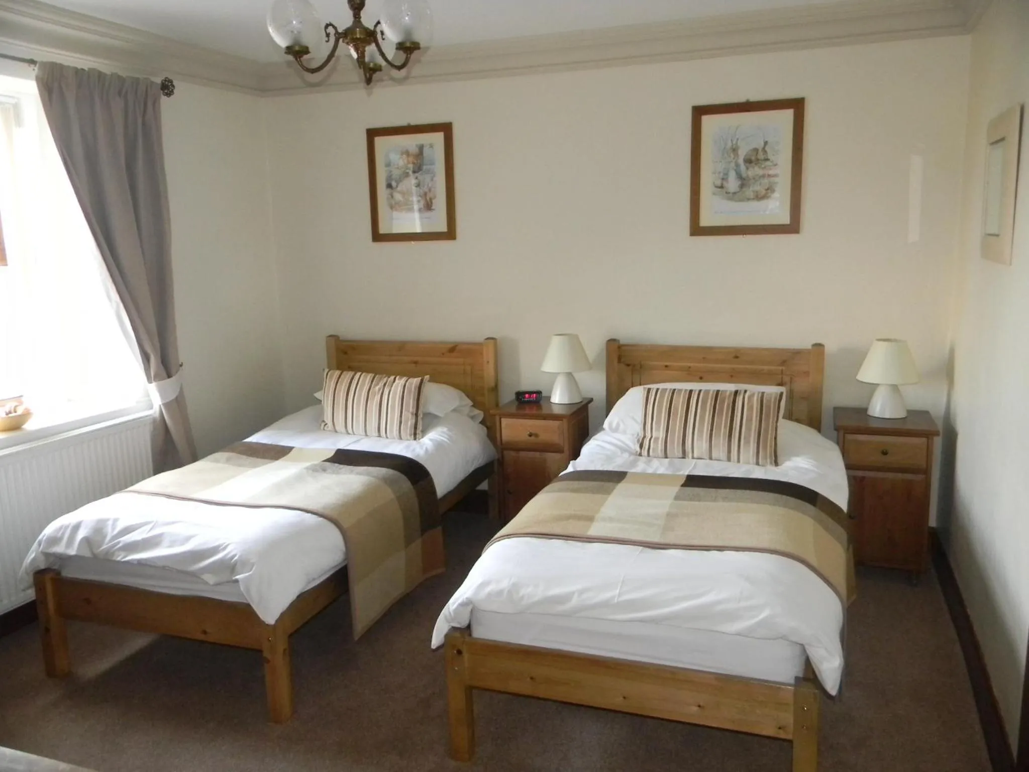 Twin Room with en-suite Shower - single occupancy in Harbour Lights Guesthouse