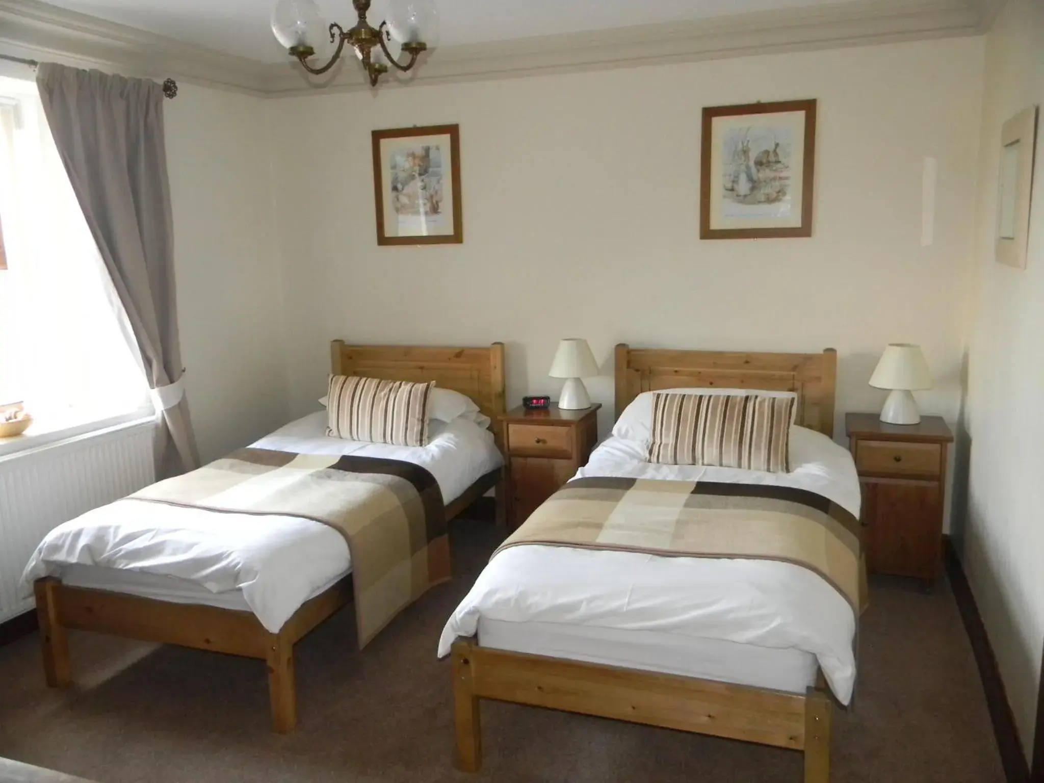 Twin Room with en-suite Shower - single occupancy in Harbour Lights Guesthouse Twin Room with en-suite Shower - single occupancy in Harbour Lights Guesthouse