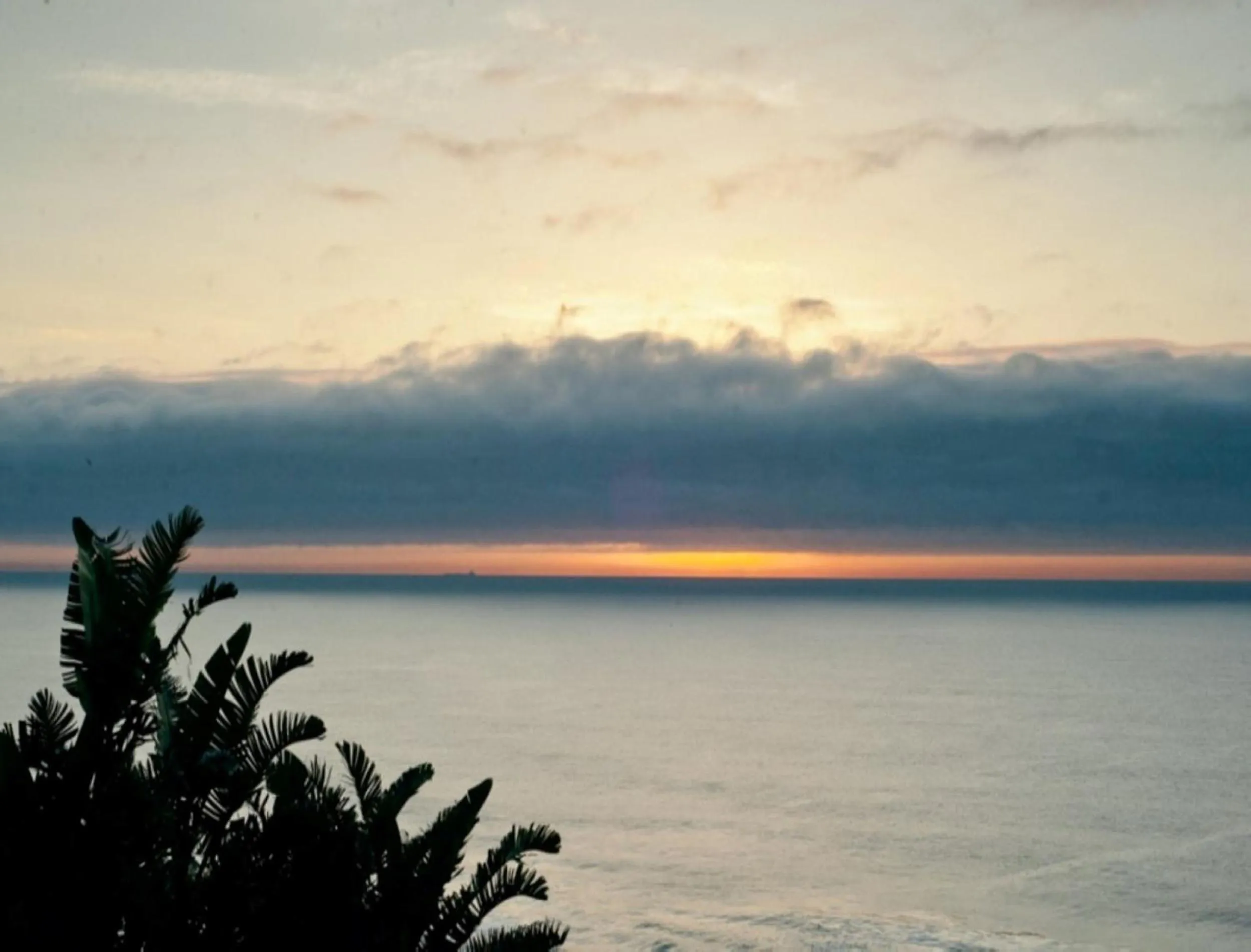 Sea view in The Tides Inn Bed and Breakfast