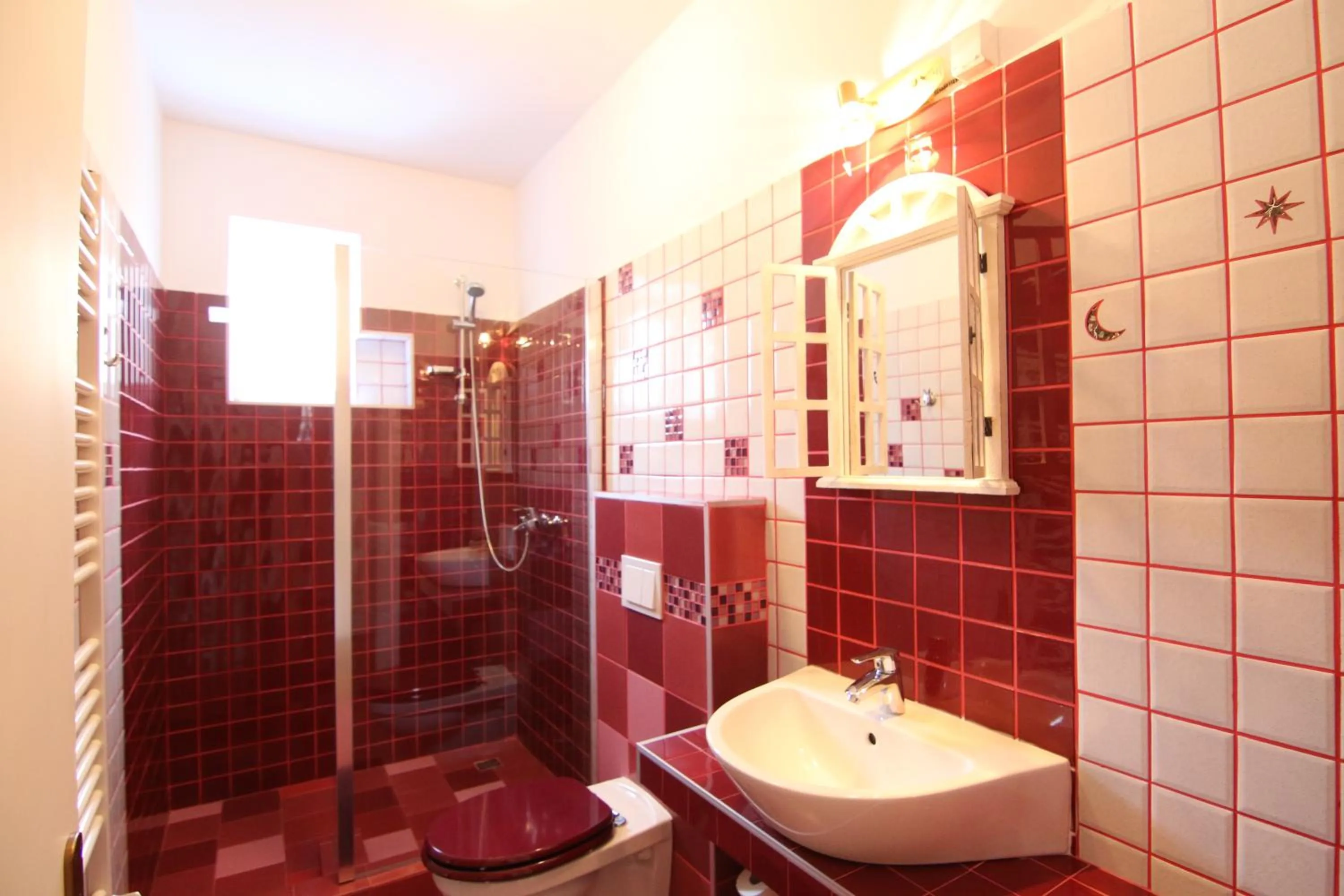 Shower in Vila Sibiu