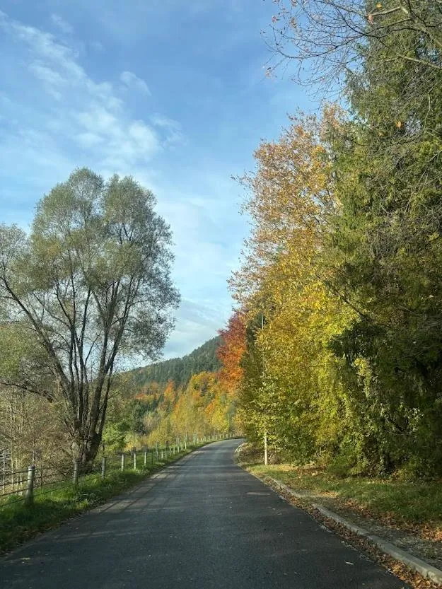 Summer in Hotel Zacisze