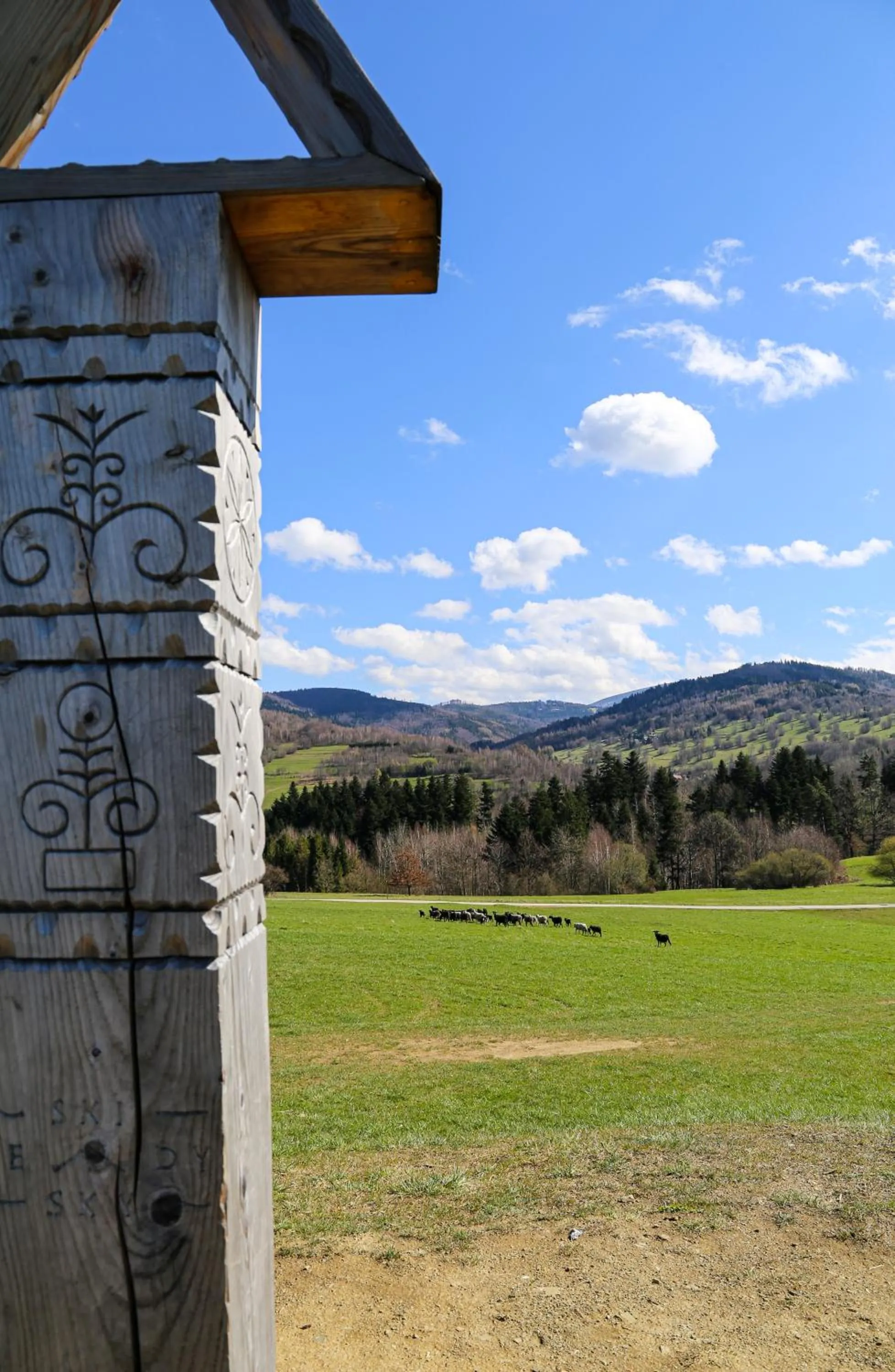 Nearby landmark in Hotel Zacisze