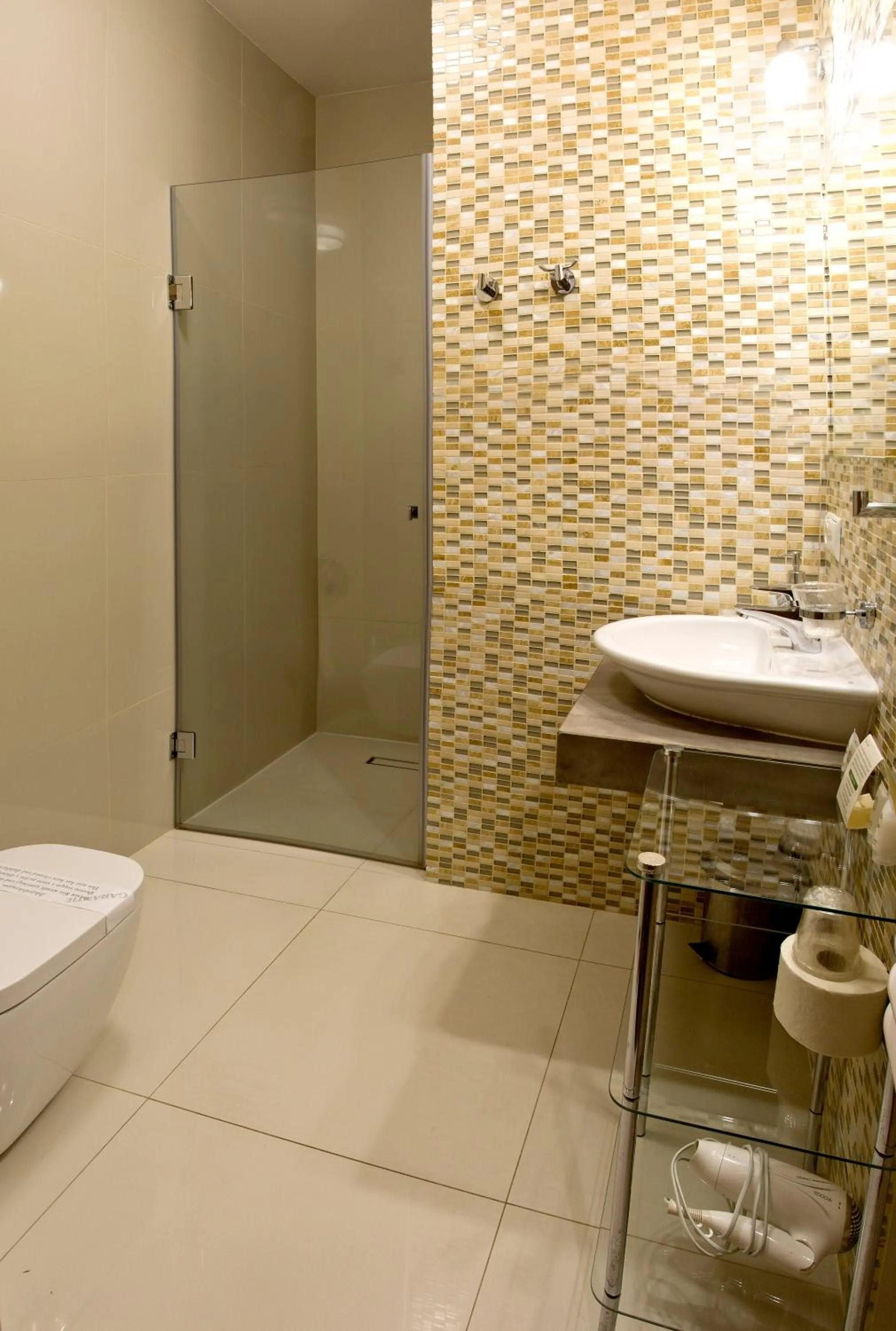 Shower in Hotel Zacisze