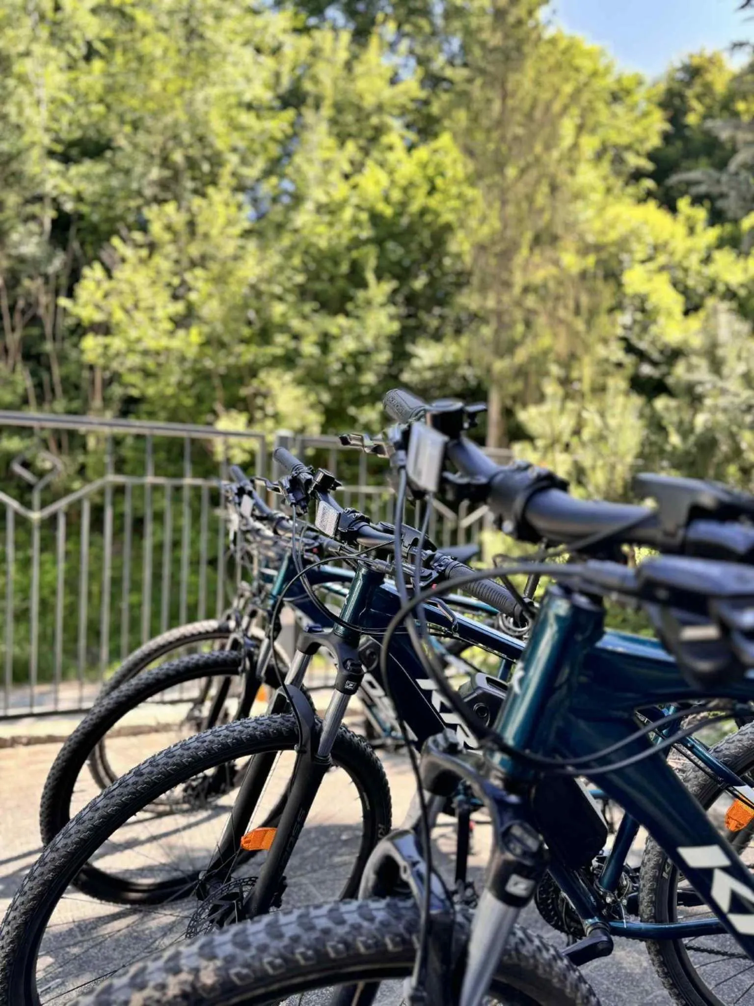 Cycling in Hotel Zacisze