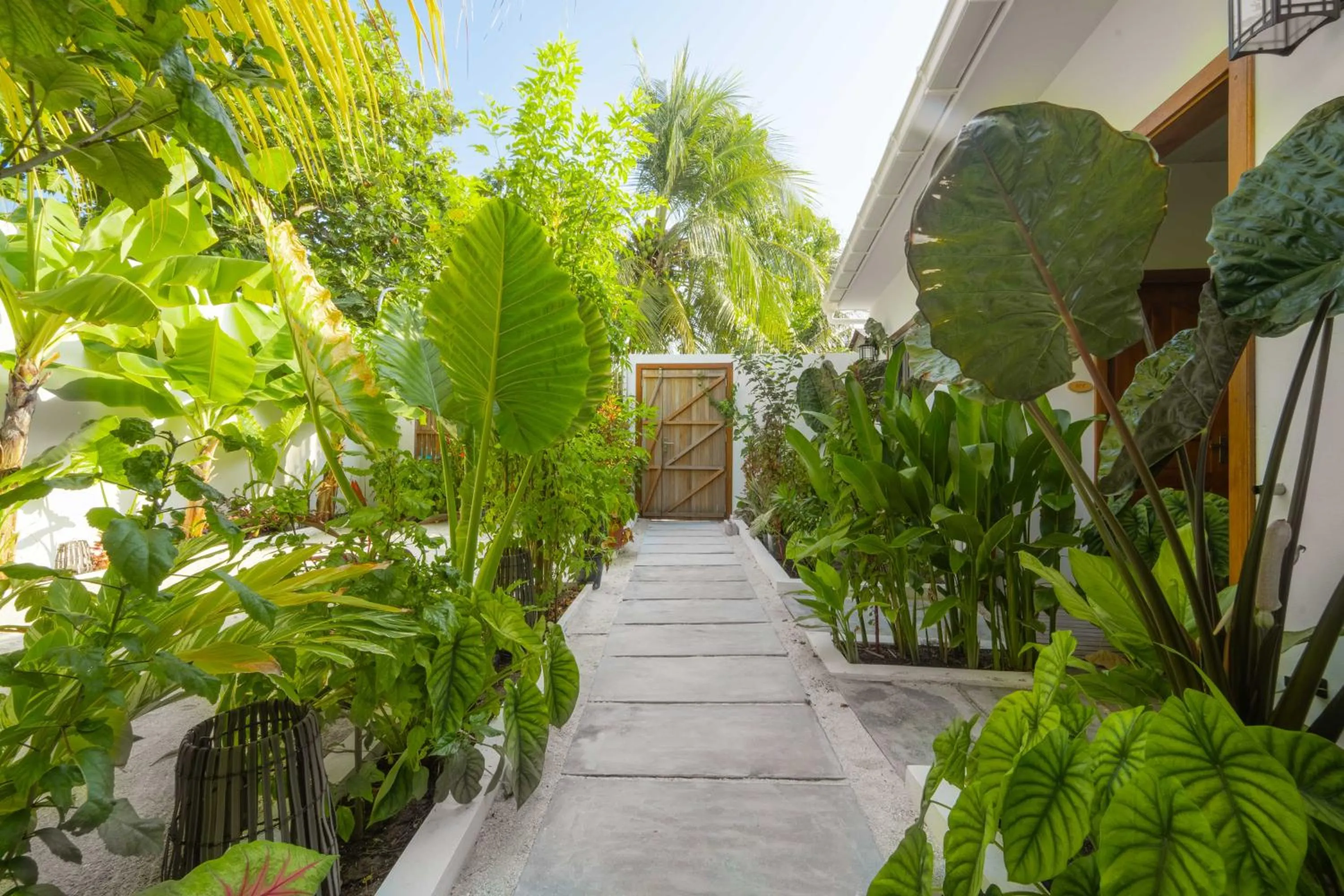 Oasis Dhigurah
