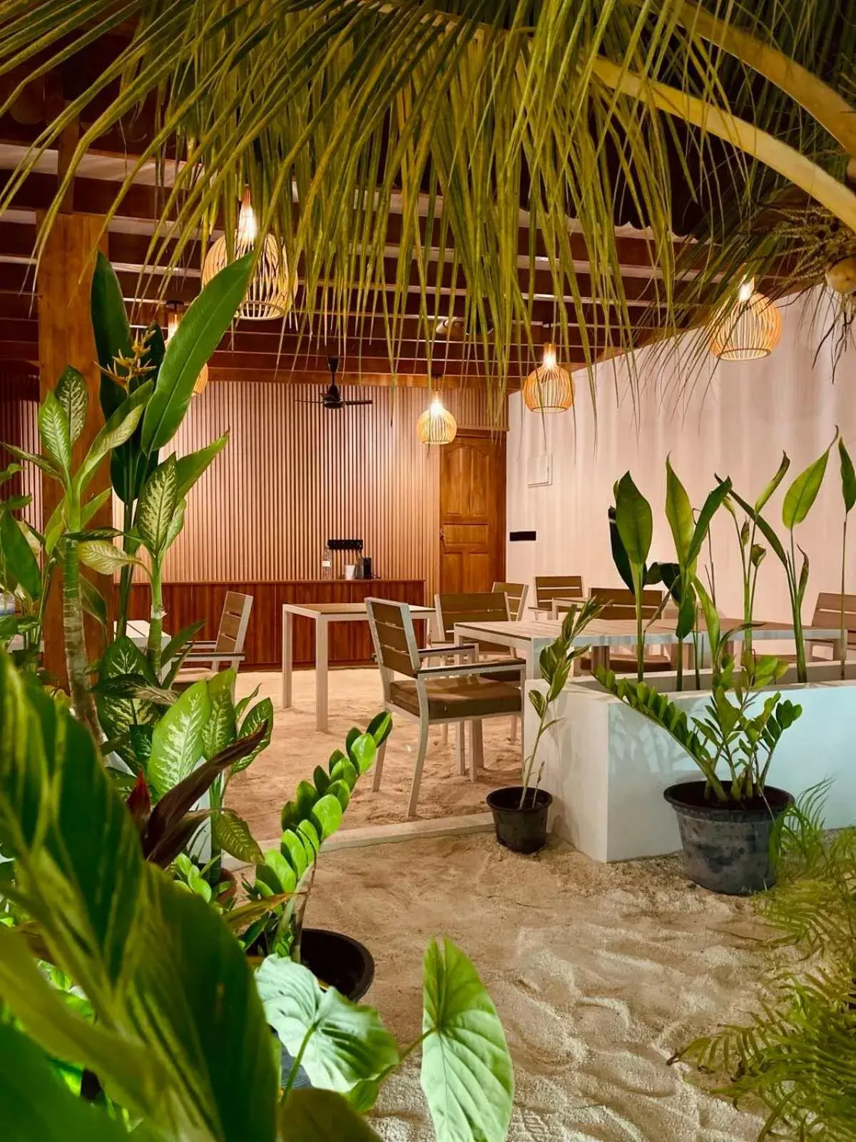 Oasis Dhigurah Oasis Dhigurah