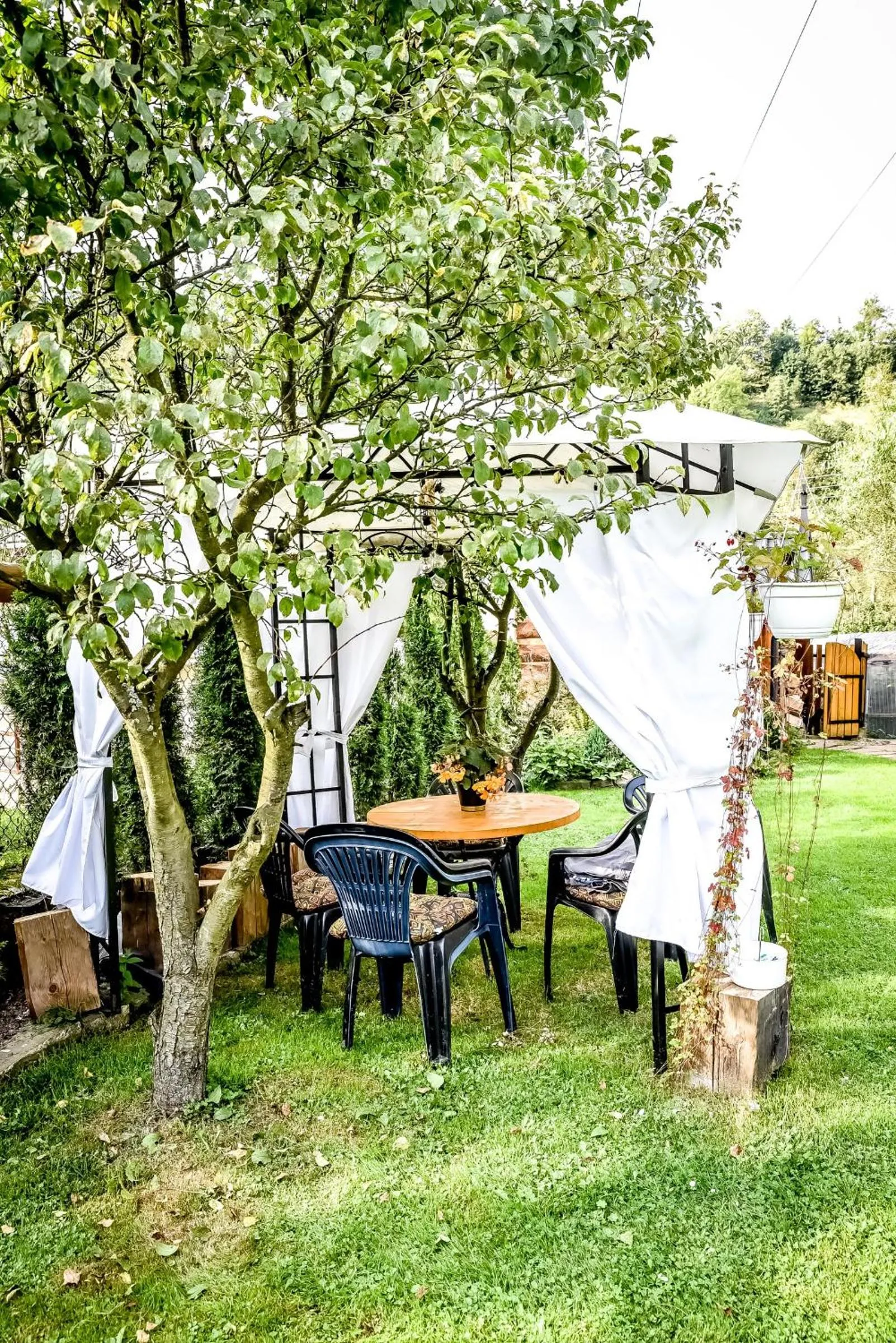 Garden in Ciukrowa Chatka Sauna & Jacuzzi