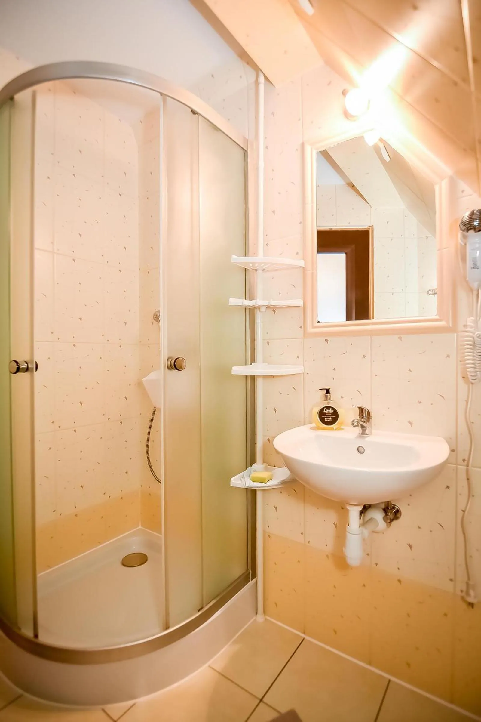 Shower in Ciukrowa Chatka Sauna & Jacuzzi