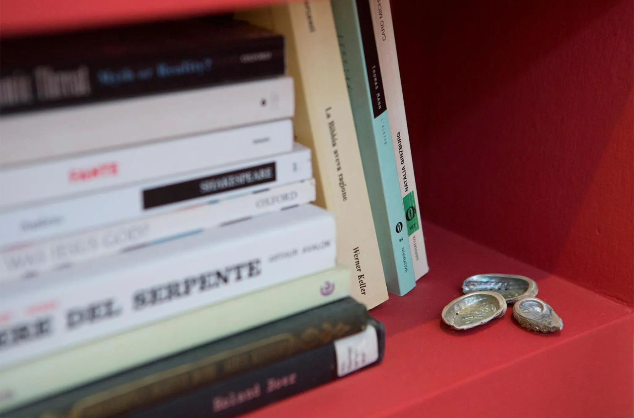 Decorative detail in B&B Piazza Vittorio