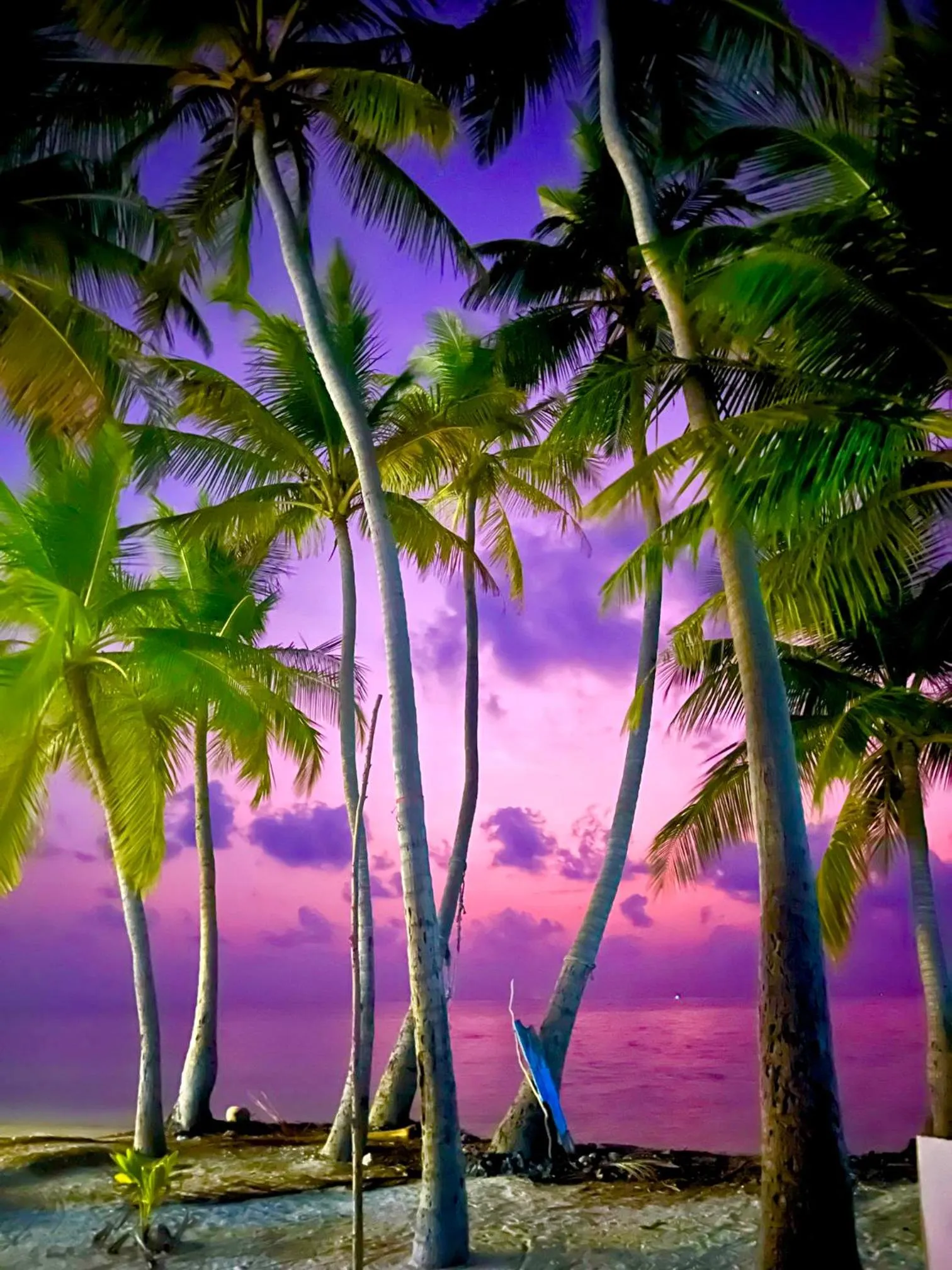 Sunset in Holiday Home Dhiffushi