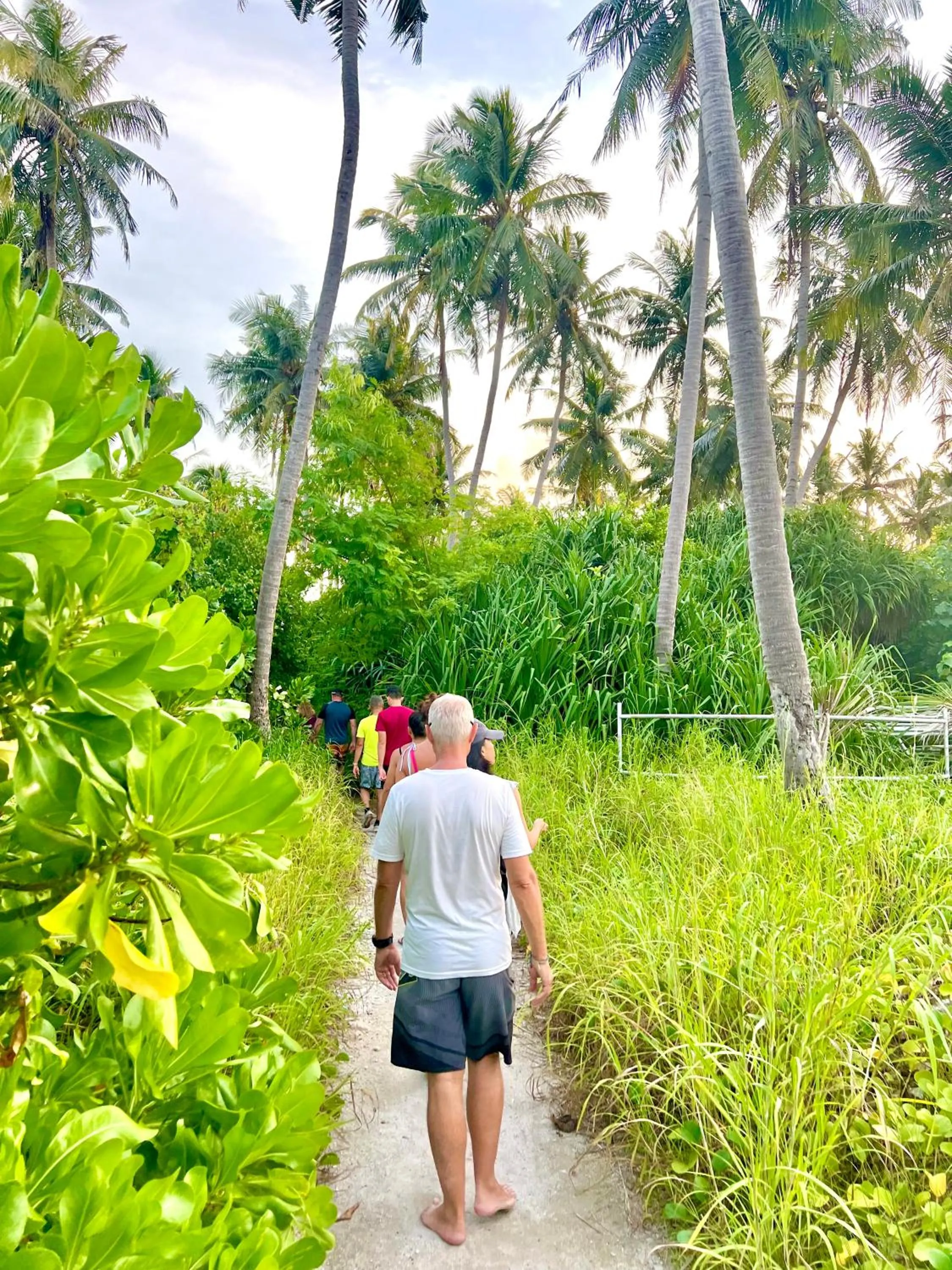 Natural landscape in Holiday Home Dhiffushi